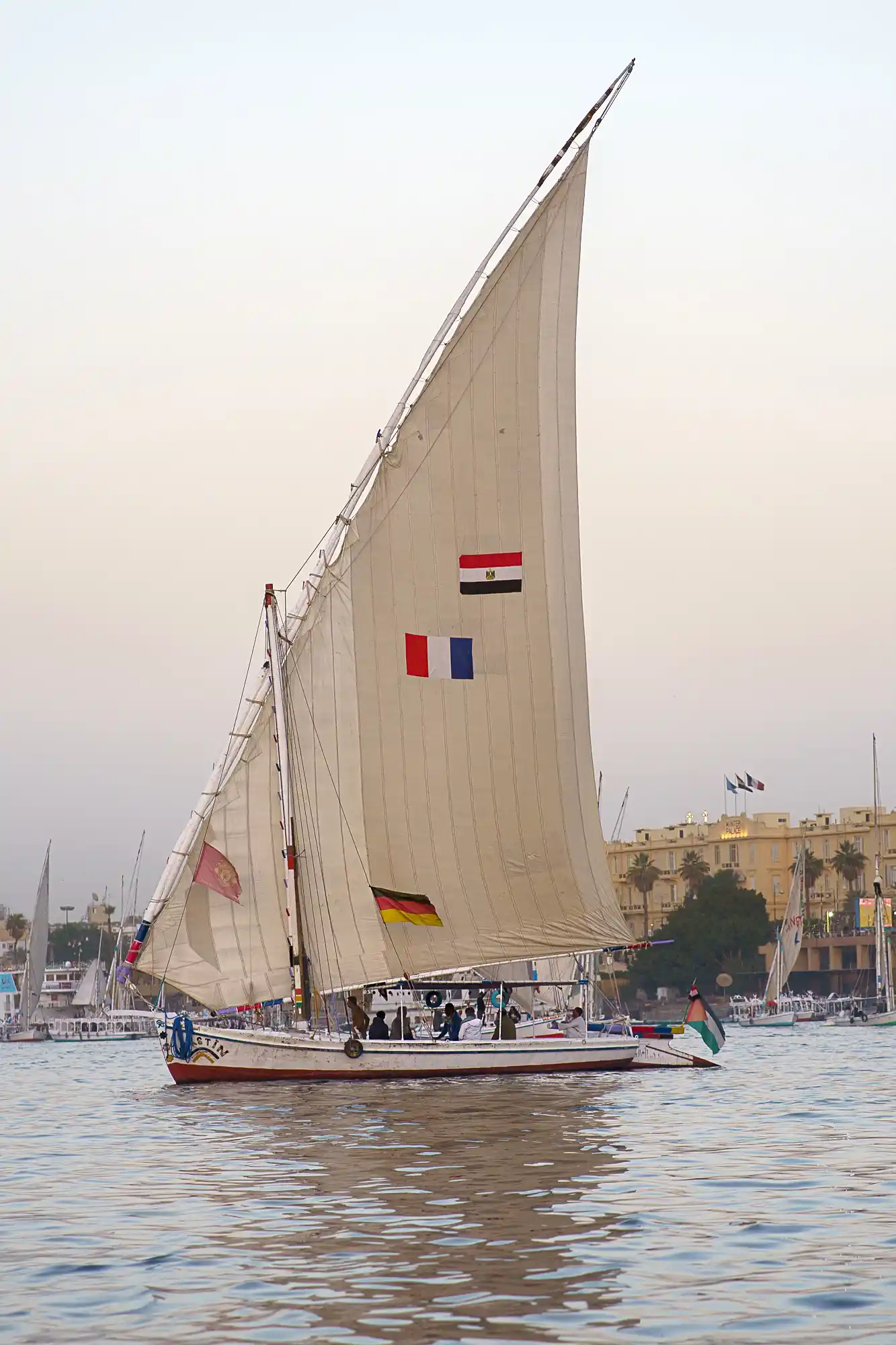 Big sail of a felucca