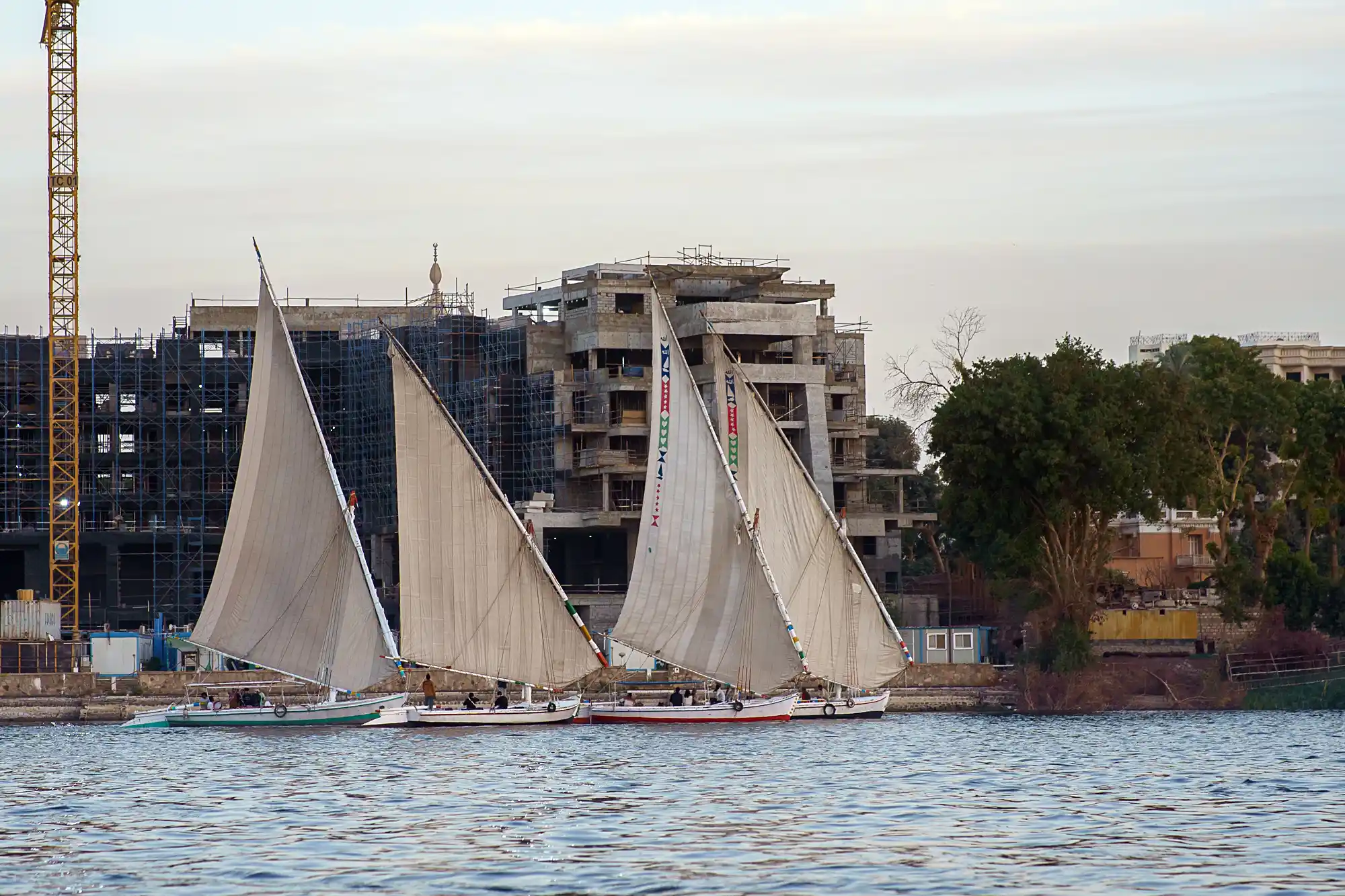 A bunch of felucca boats in Luxor