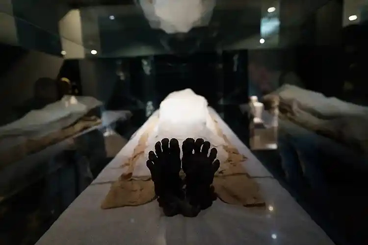 Mummie feet luxor museum