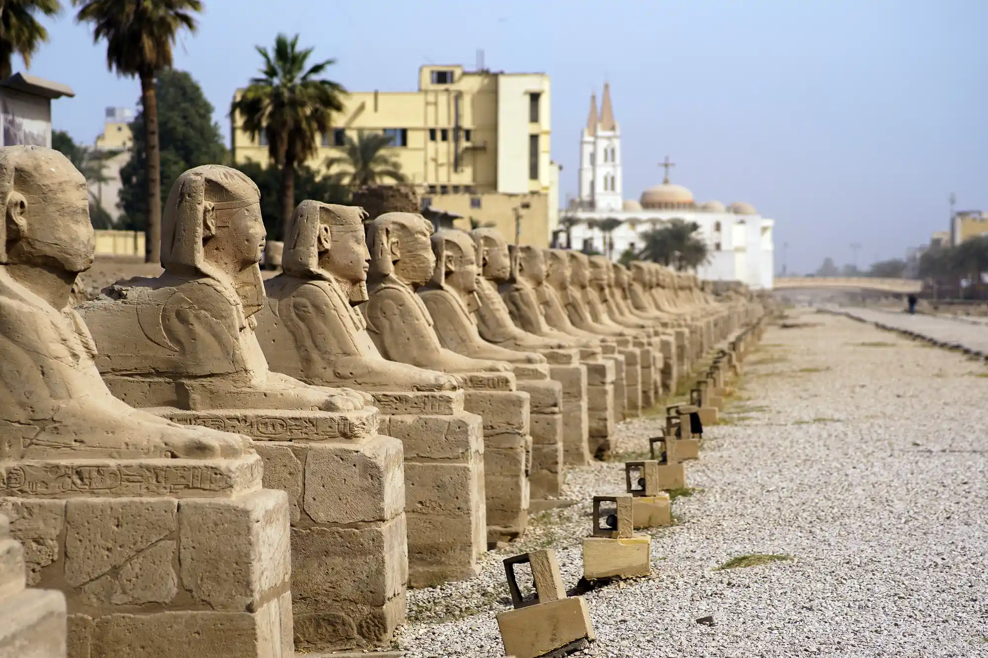 The Avenue of Sphinxes in Luxor