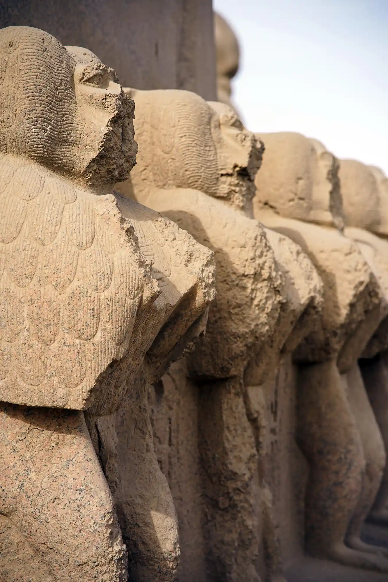 A row of sandstone sphinxes, their carved bodies worn smooth by time, photographed from a low angle at Luxor Temple.