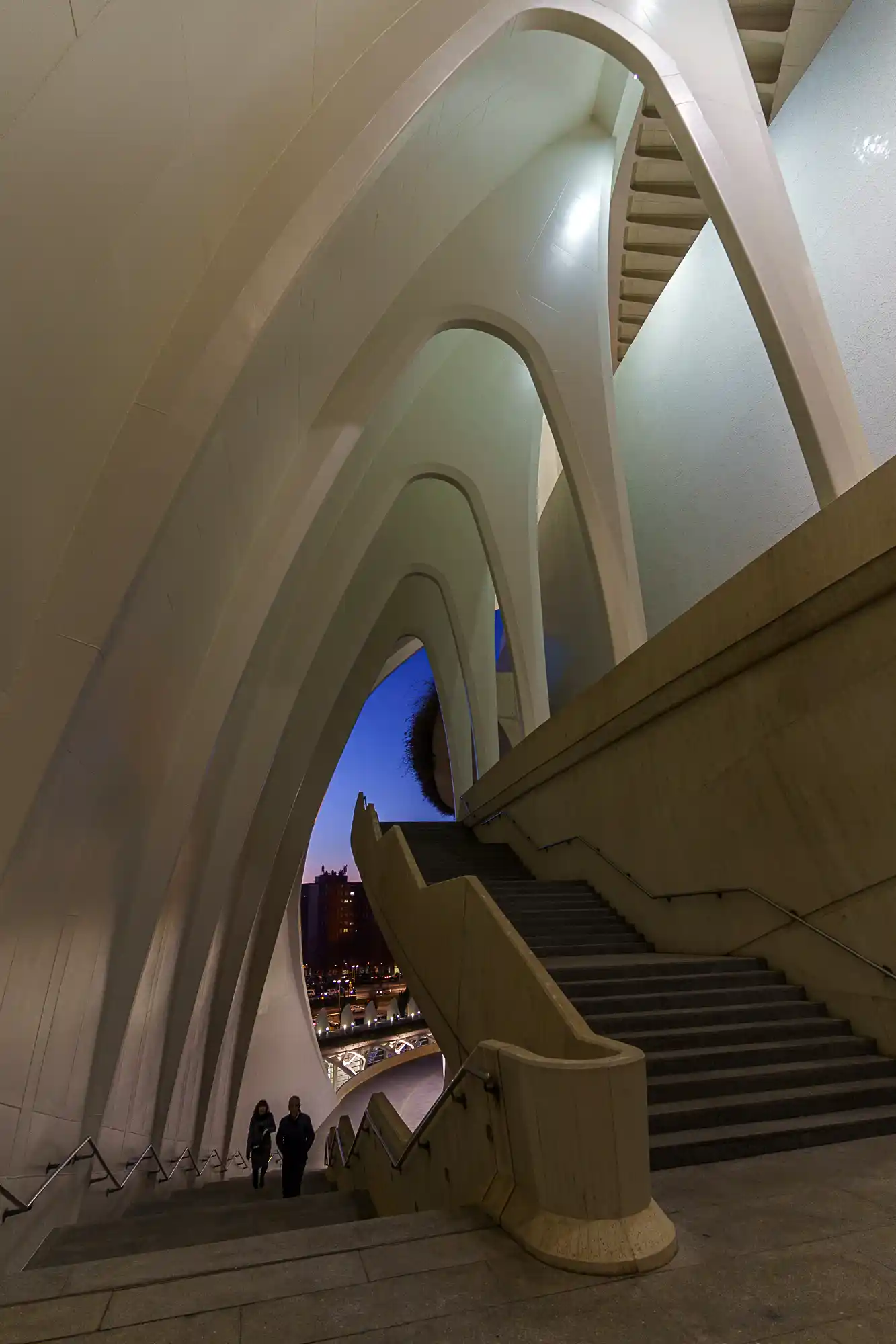 The Opera House at the City of Arts and Sciences, Valencia