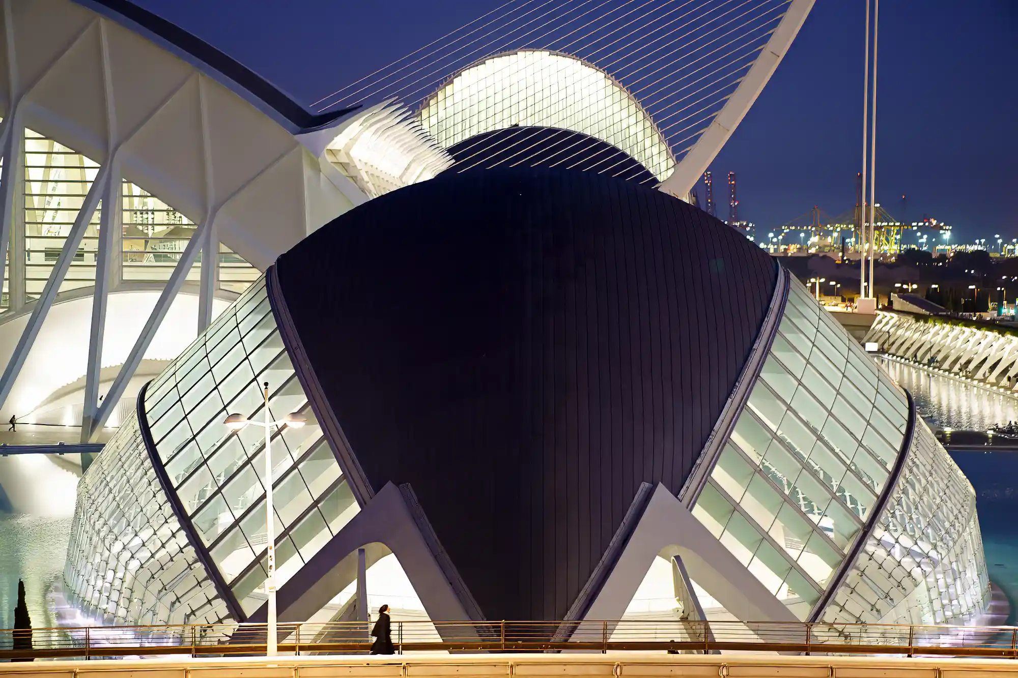 Sweeping curves of the Palau de les Arts
