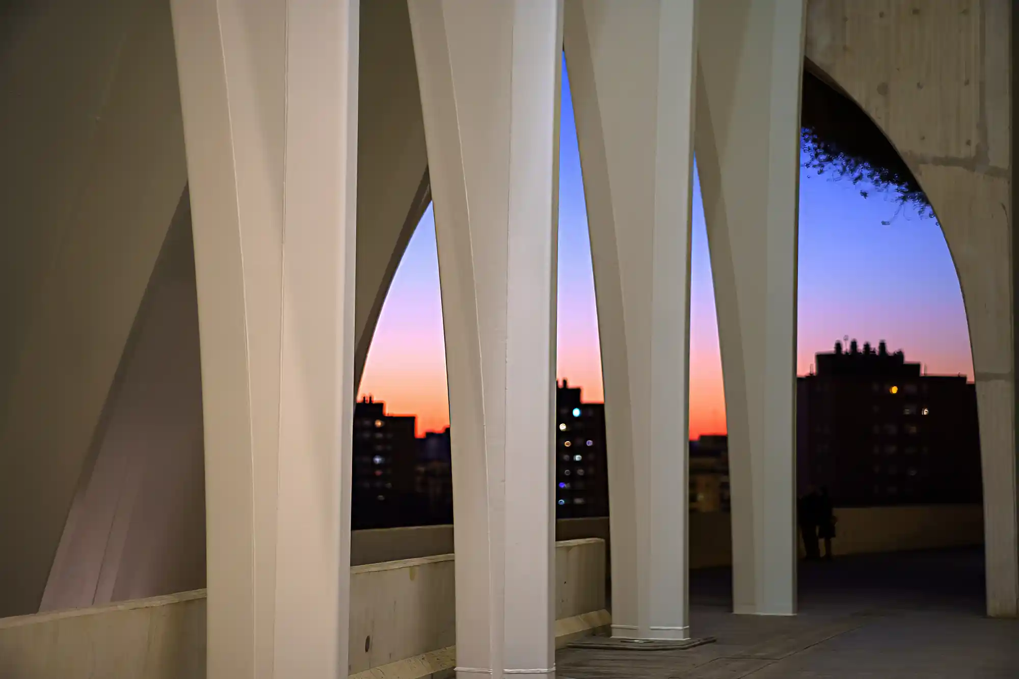 A closer look at Calatrava's Opera House