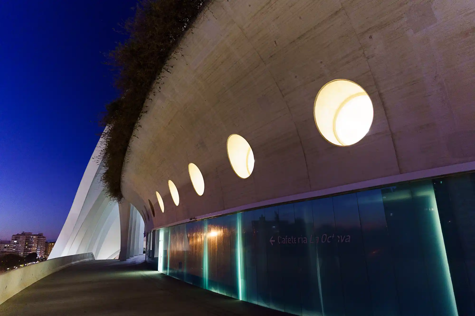 Inside Calatrava's Palau de les Arts