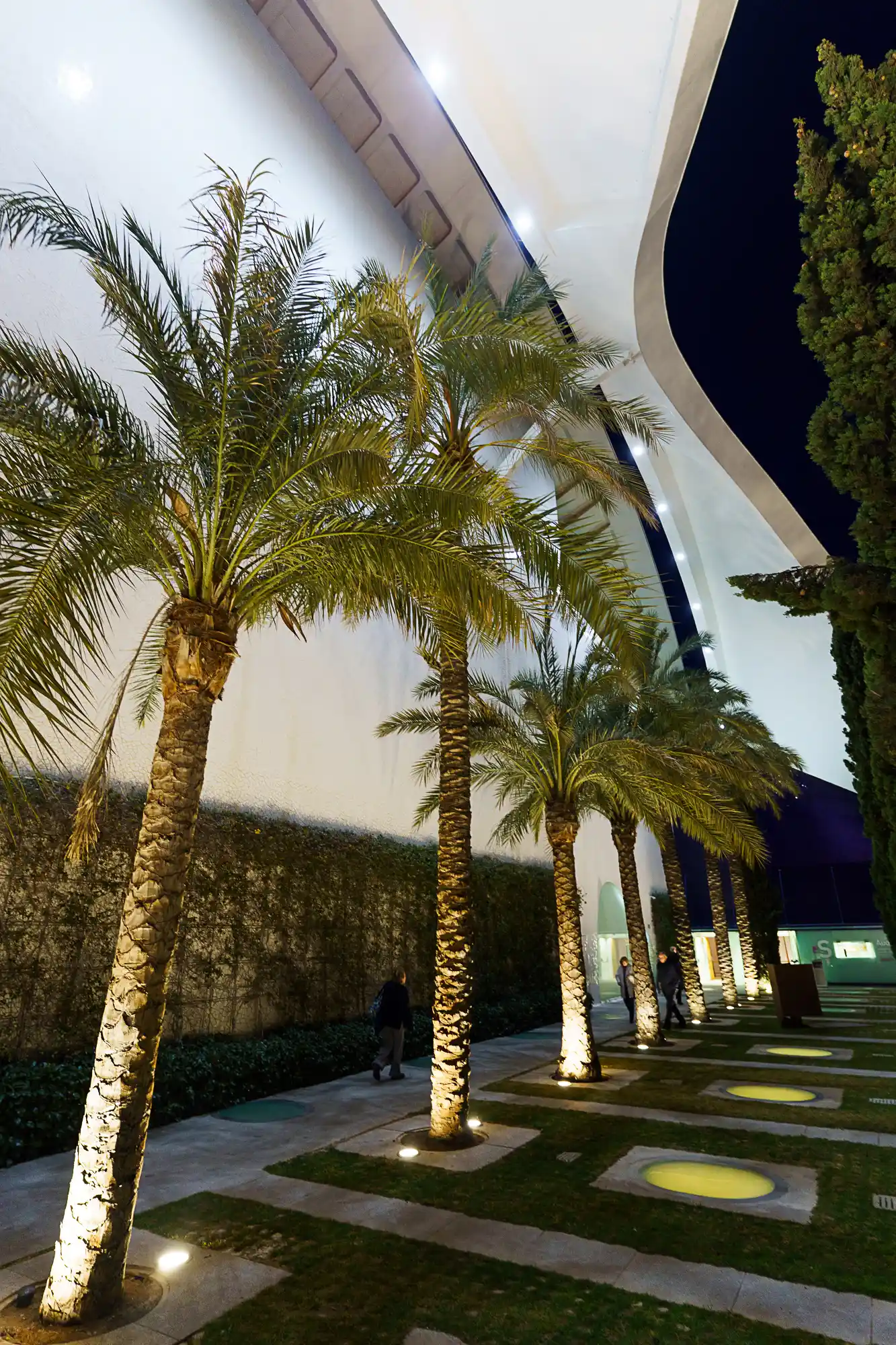 Calatrava's futuristic design in Valencia