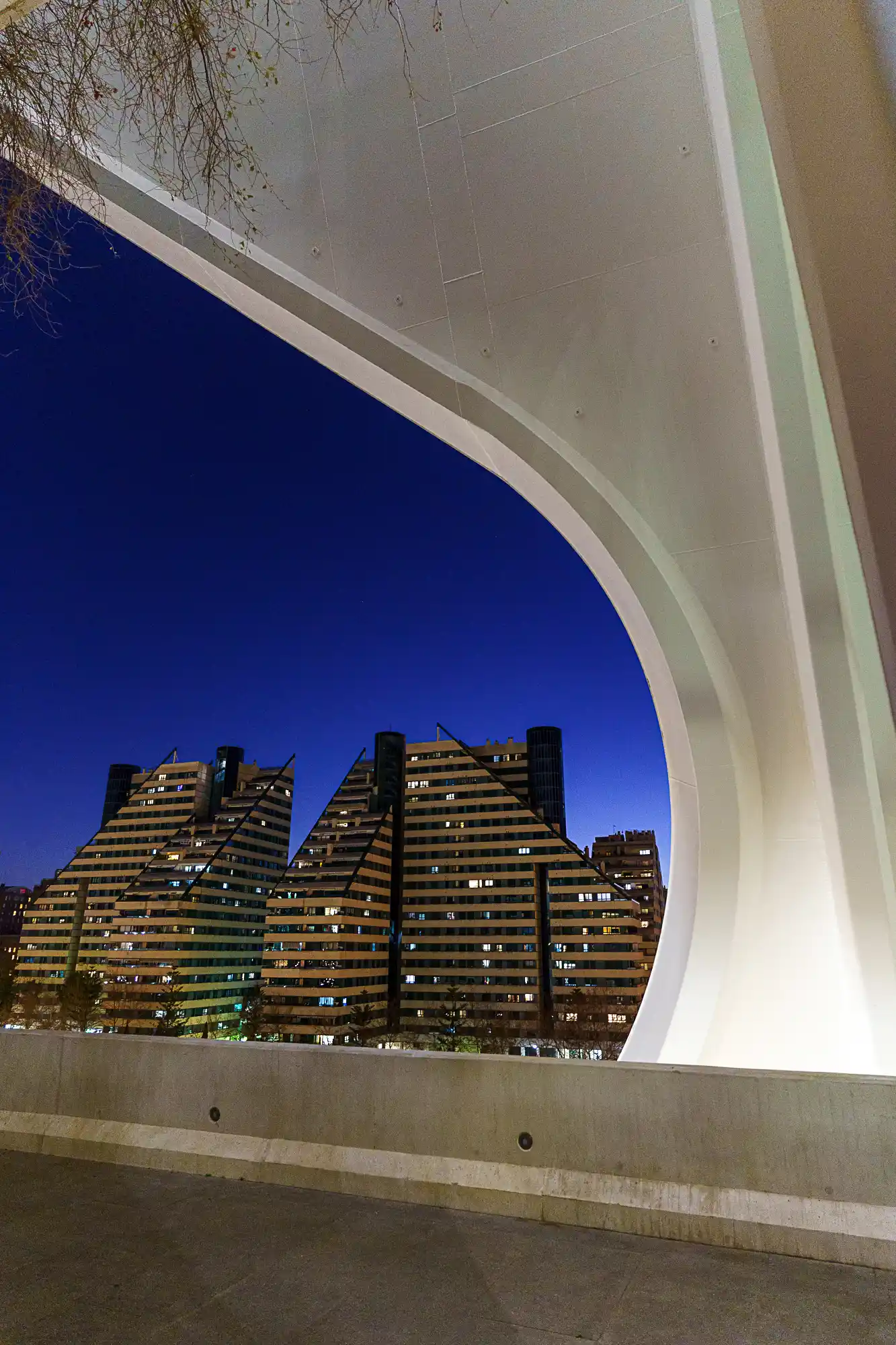 Sweeping curves of the Palau de les Arts