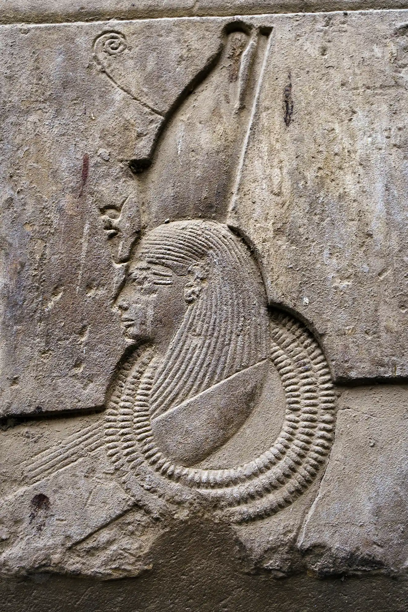 Relief of a pharaoh in profile at Luxor Temple, wearing a tall curved crown and a finely ridged collar.