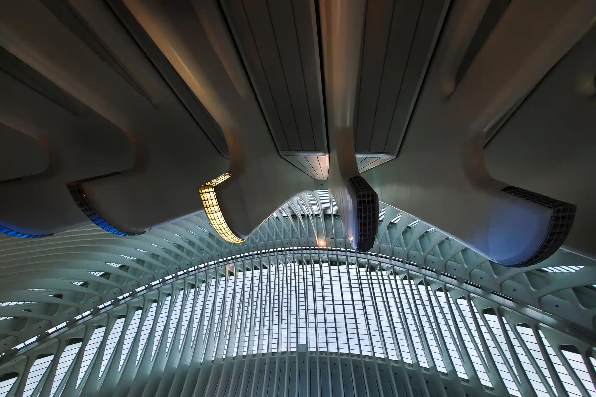 Ceiling of the Agora building by Calatrava