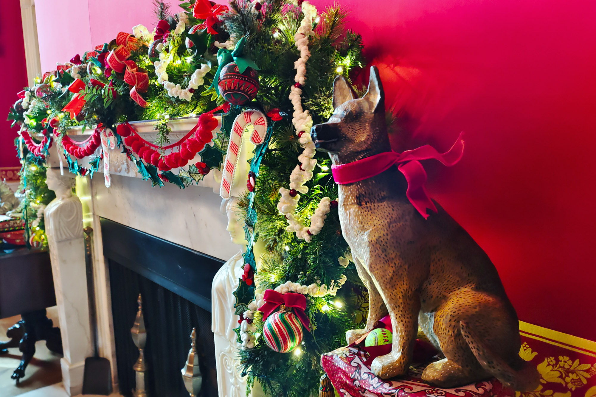 Dog of President Biden for Christmas