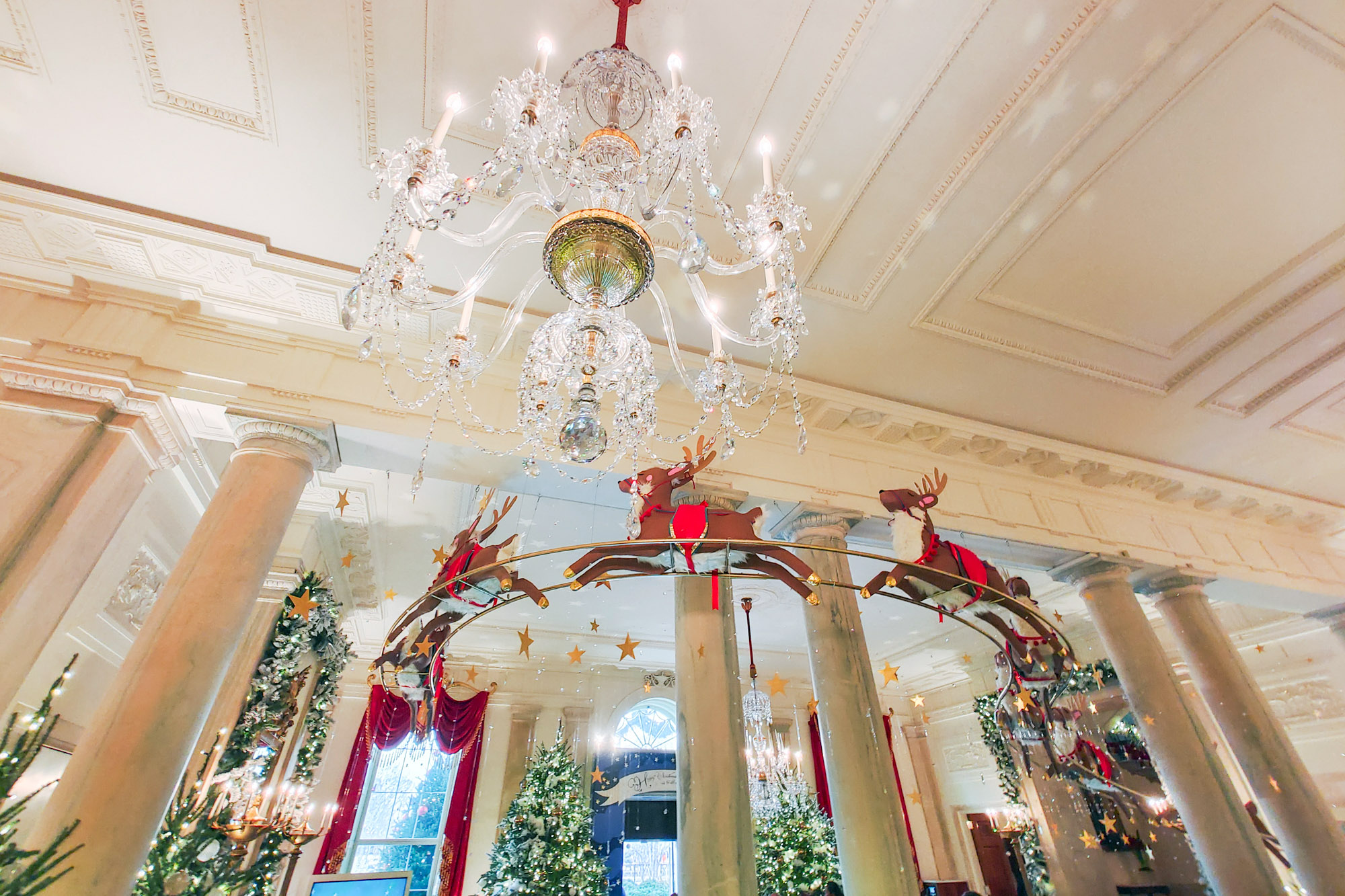 Reindeers flying at the White House