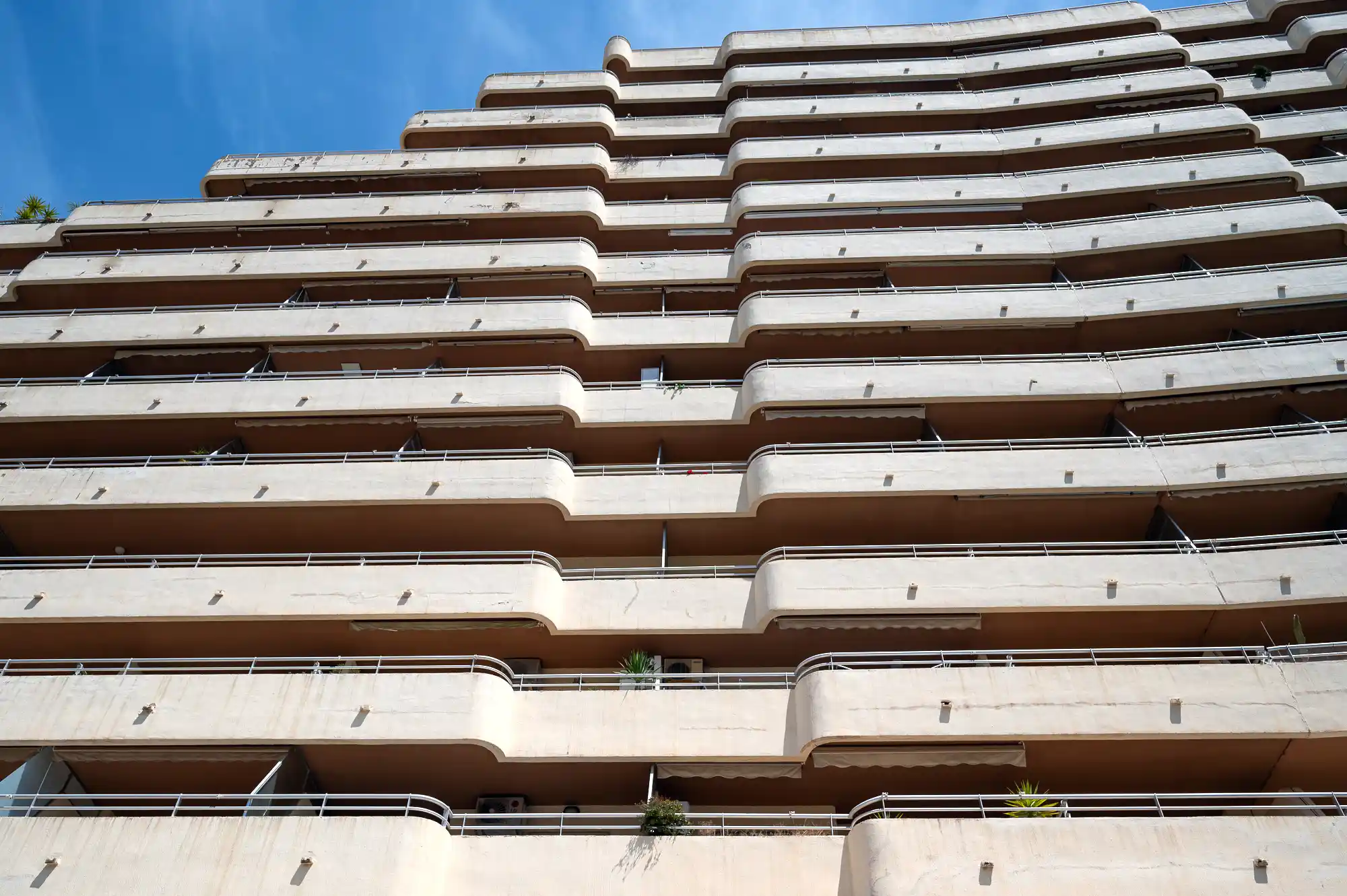 Zebra Buildings