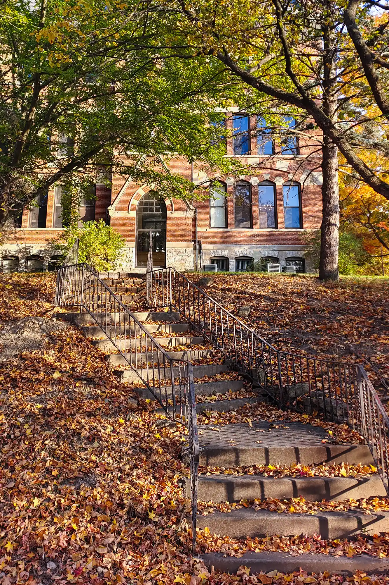 Falling leaves at a campus