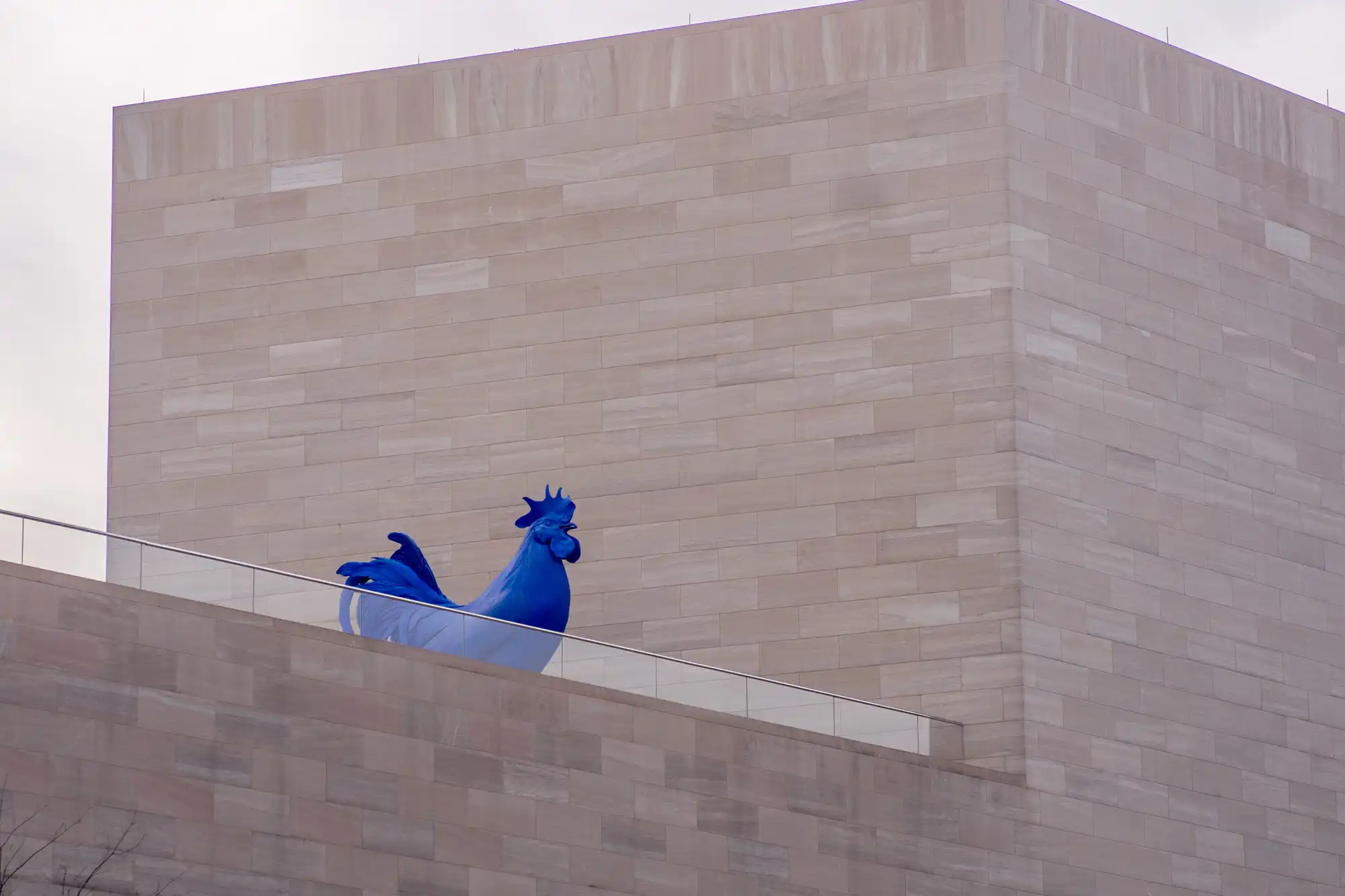 Giant Blue Rooster by Katharina Fritsch National Art Gallery