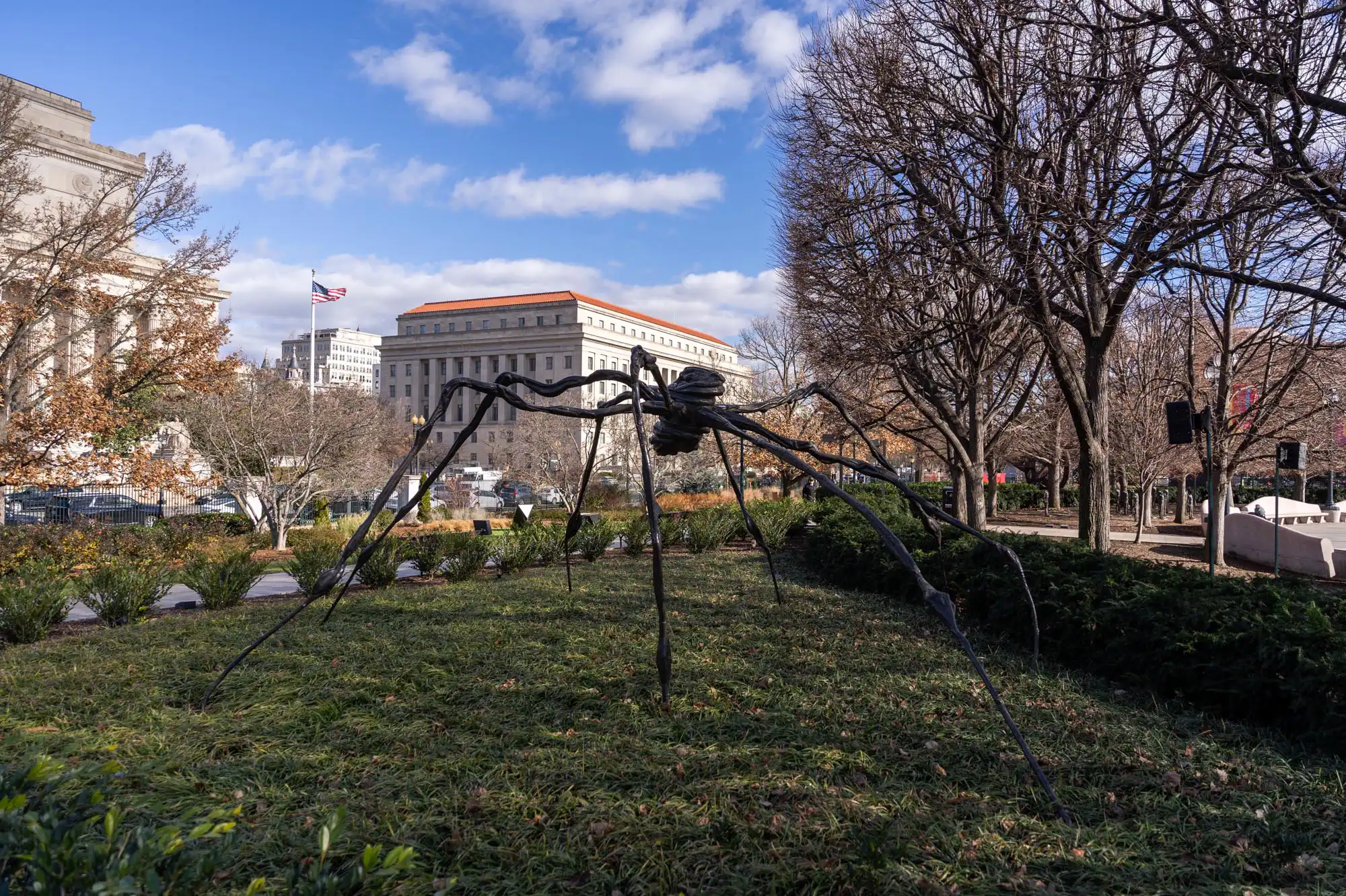 The spider by Louise Bourgeois