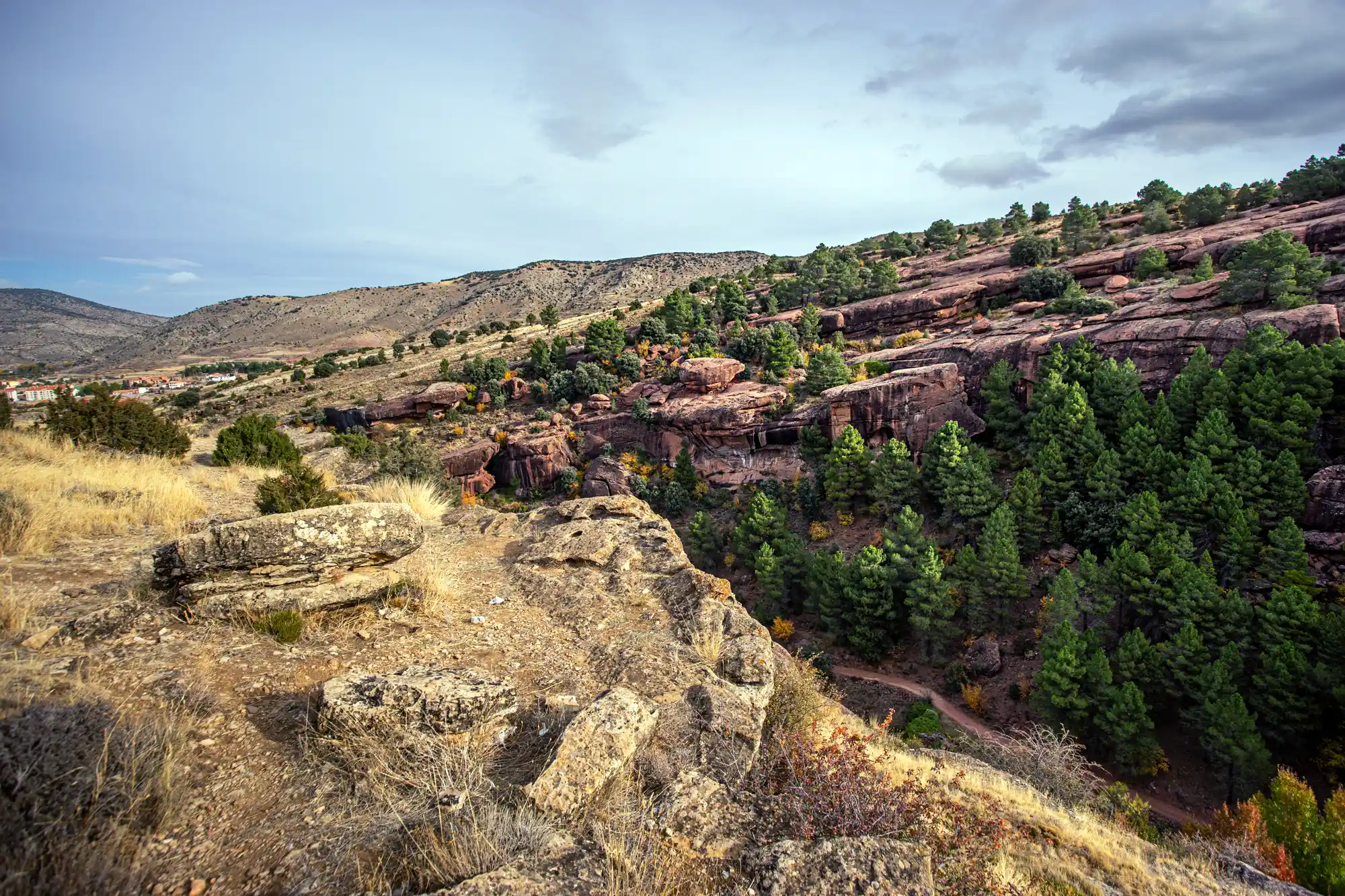 Pinares de Rodeno Mirador