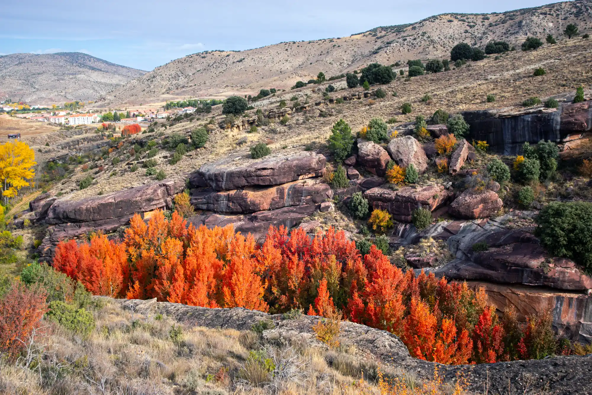 Red and yellow trees in Spain