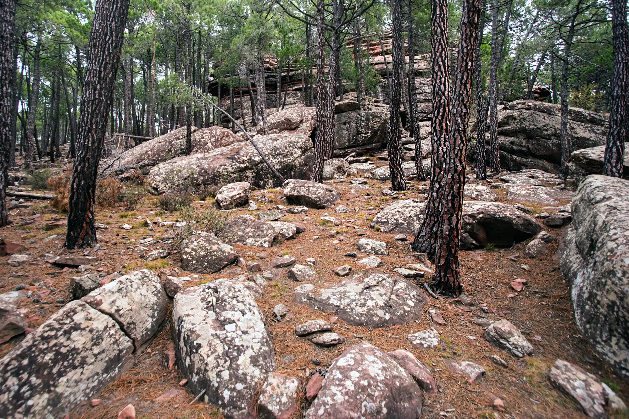 Rocks of Pinares