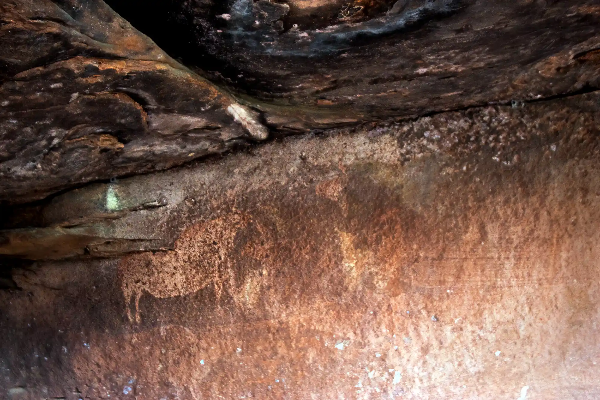 Cave Painting Pinares de Rondeno