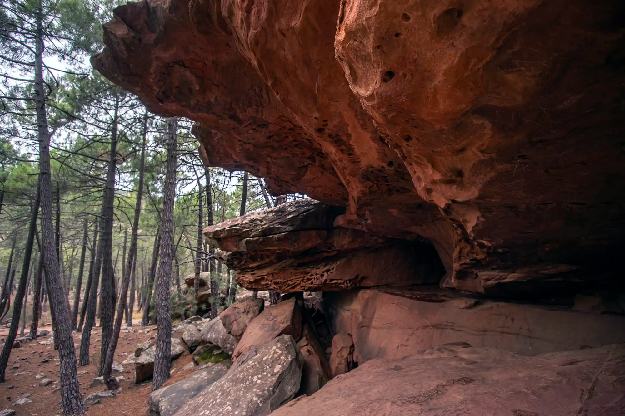 Rock shelter
