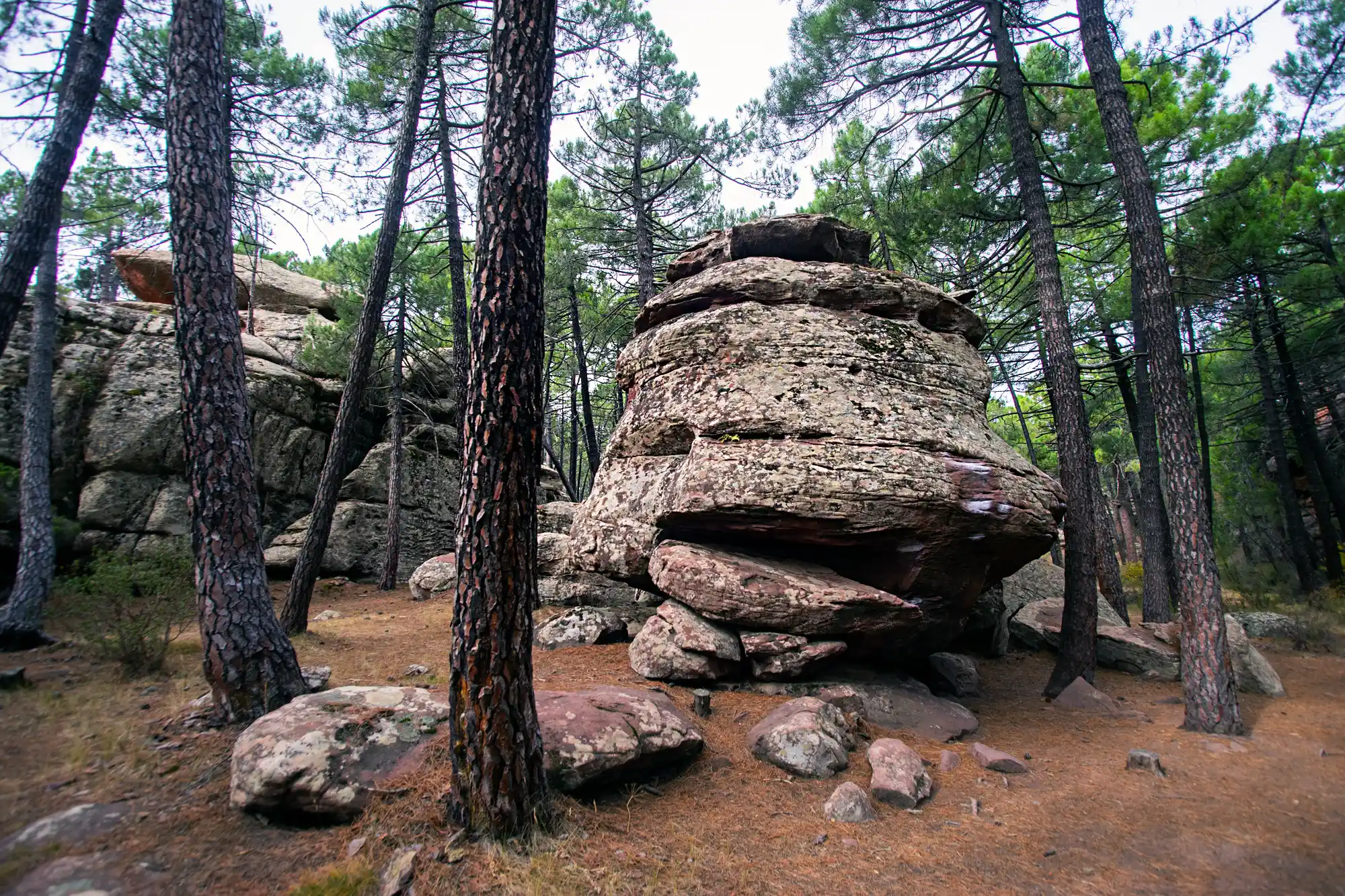 Cool rock formations and pine trees