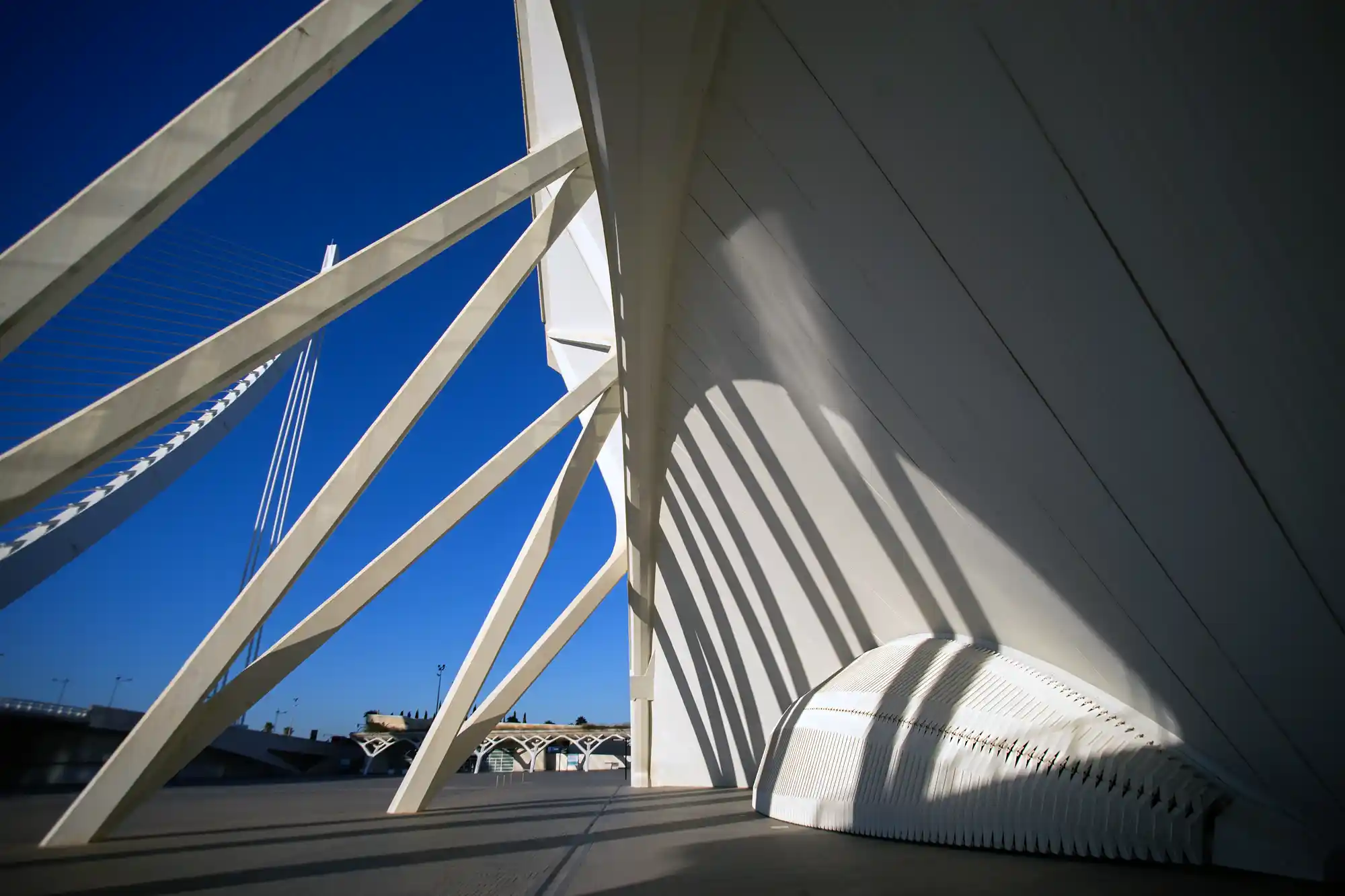 Example of Calatrava architecture