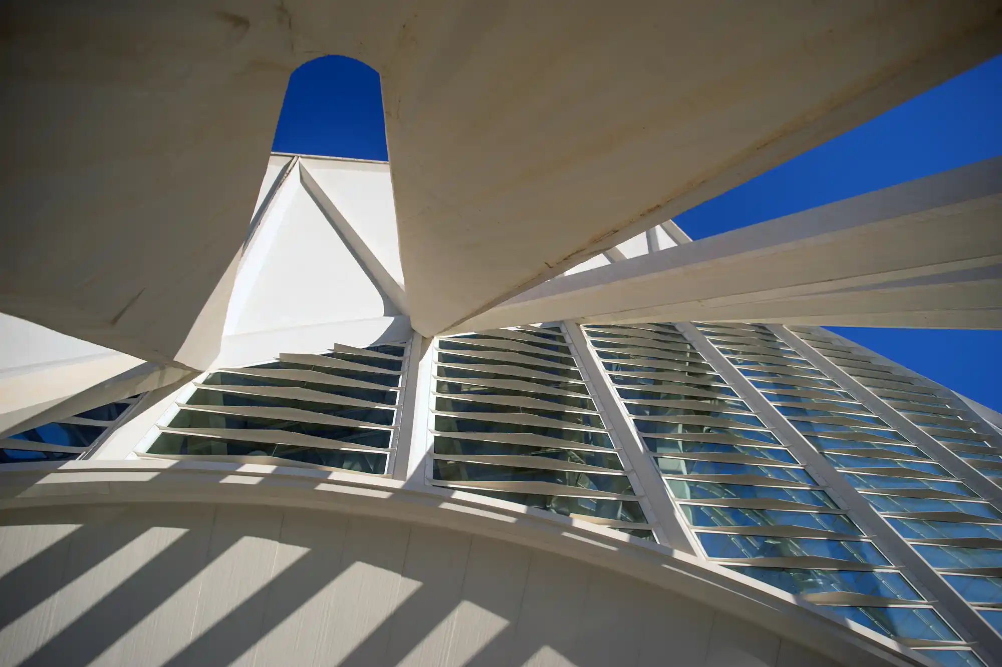 Calatrava in Valencia
