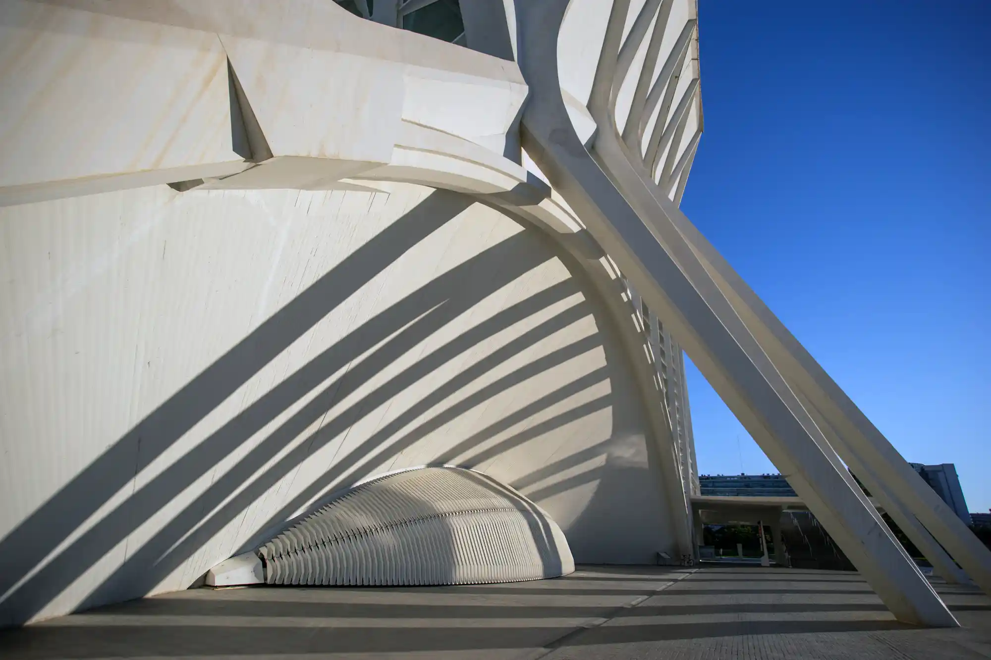 Holding Calatrava columns