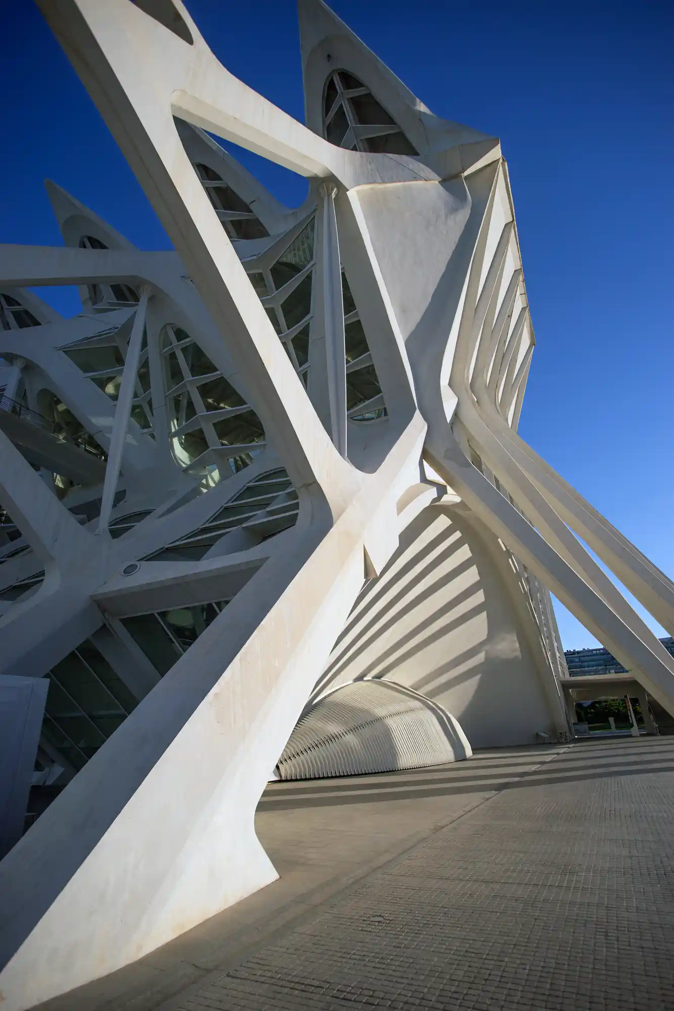 City of Arts and Science Museum