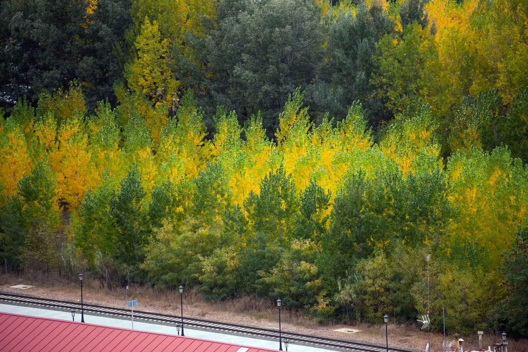 Fall in Teruel