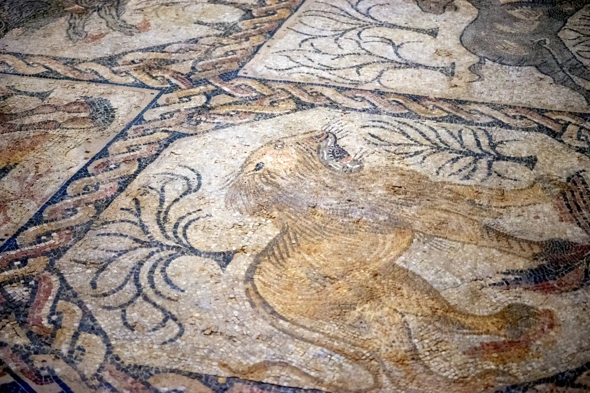 Teruel lion mosaic