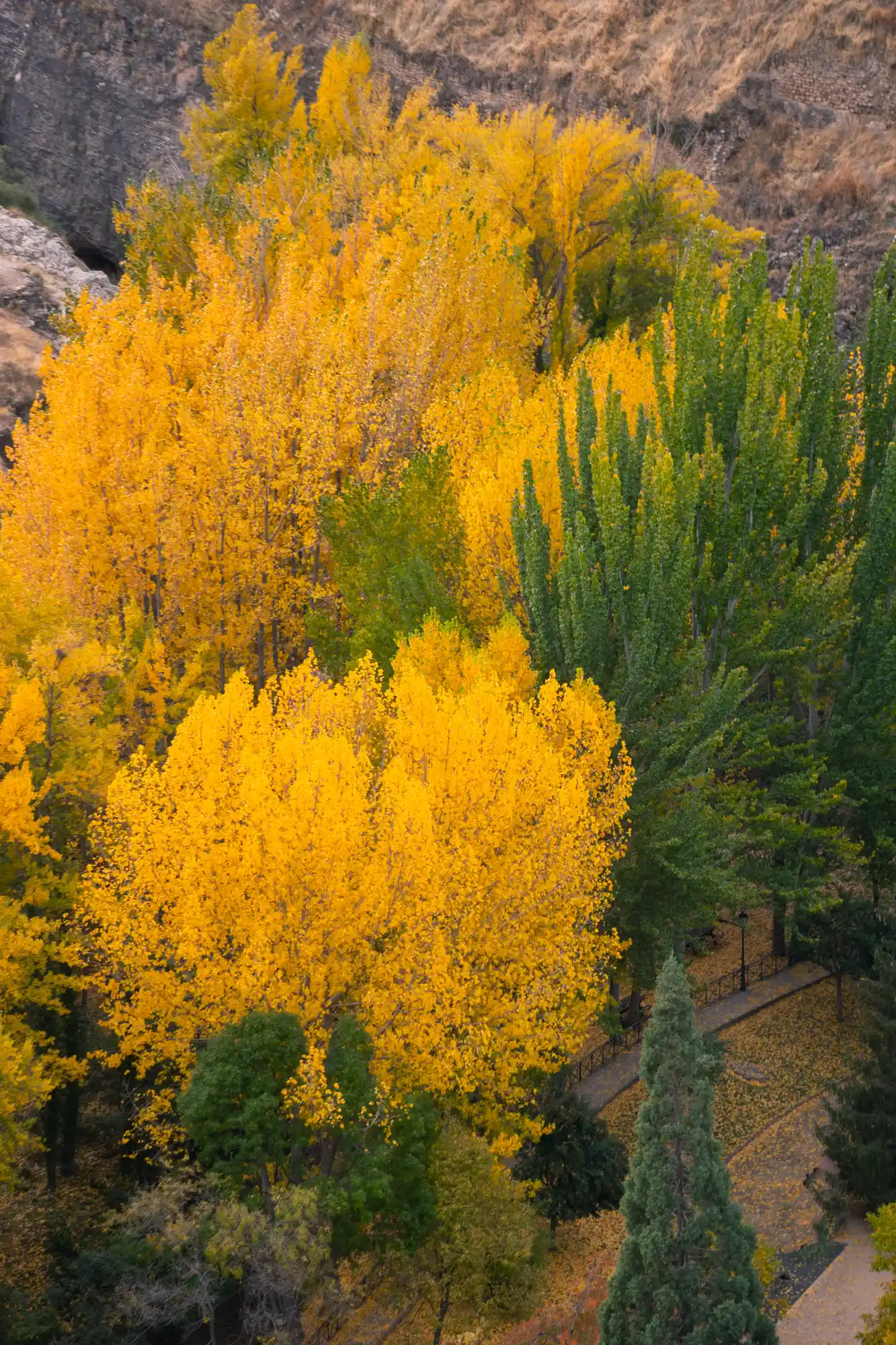 Fall colors in Albarracin