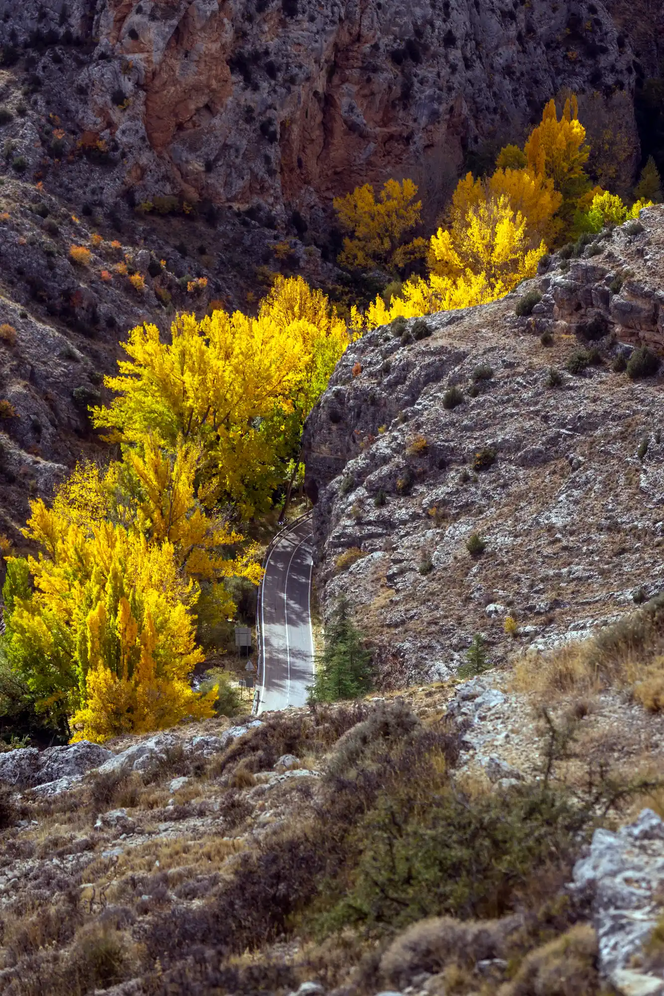 Rock and fall colors