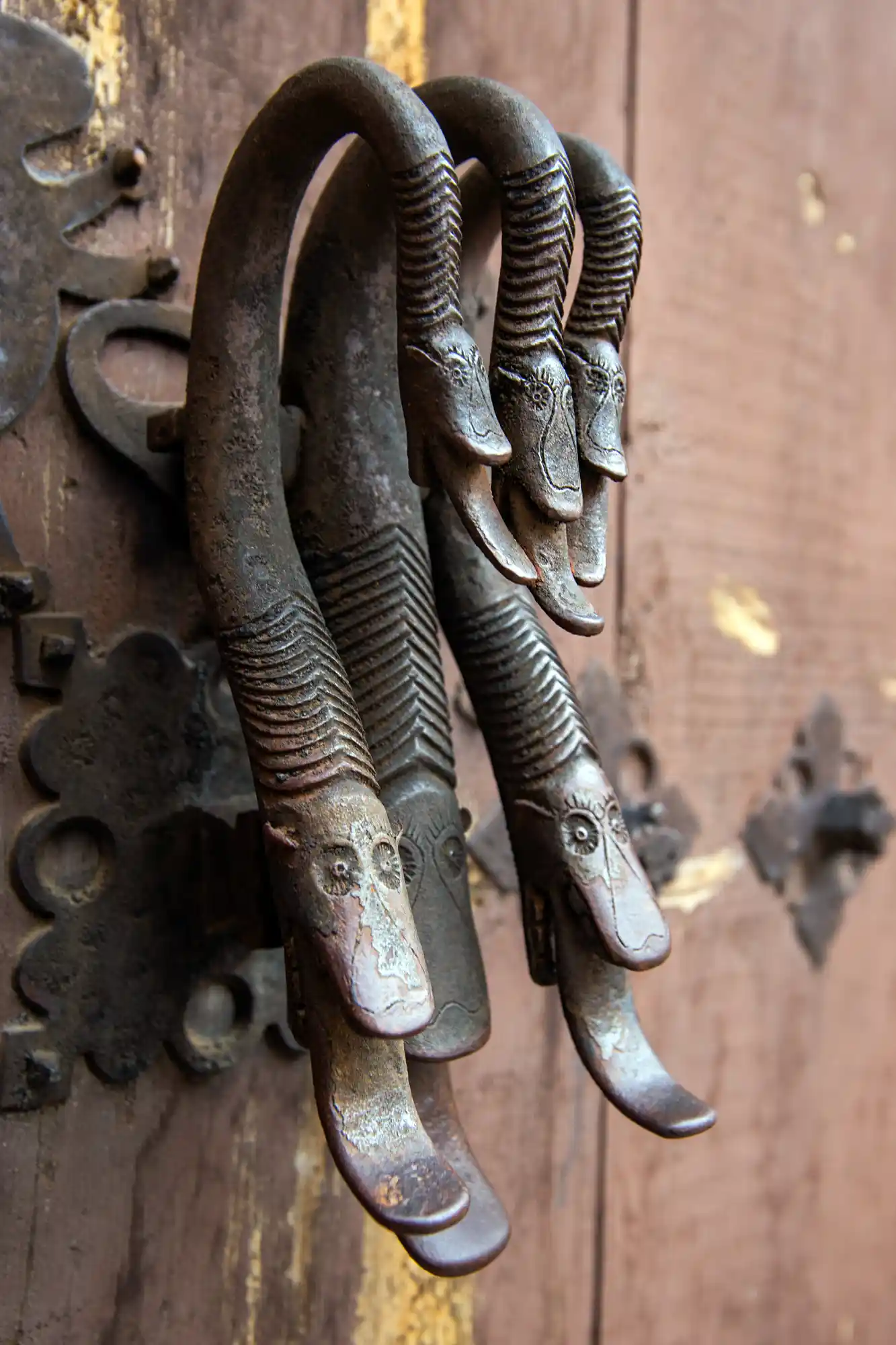 Snake door knocker