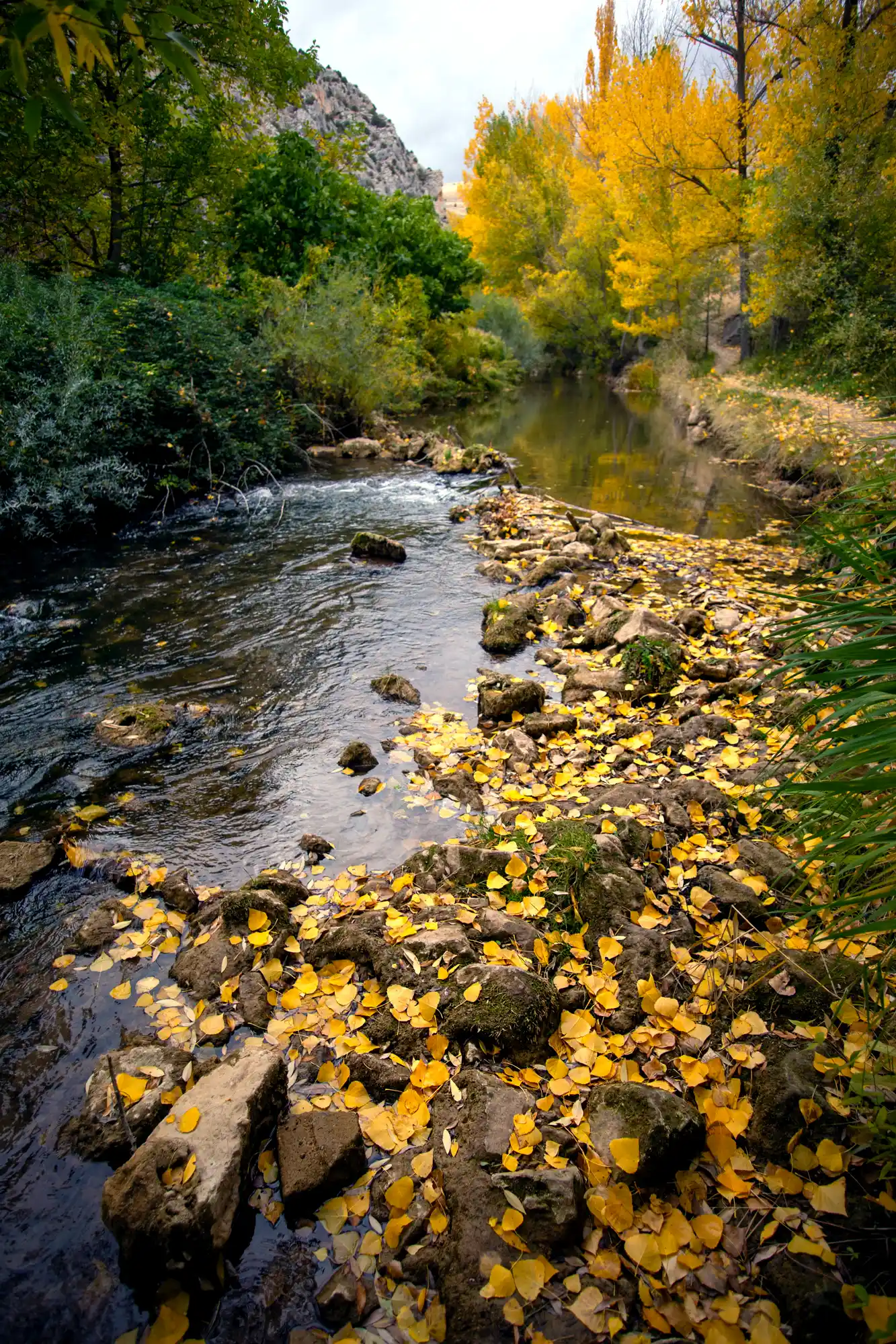 Guadalaviar river