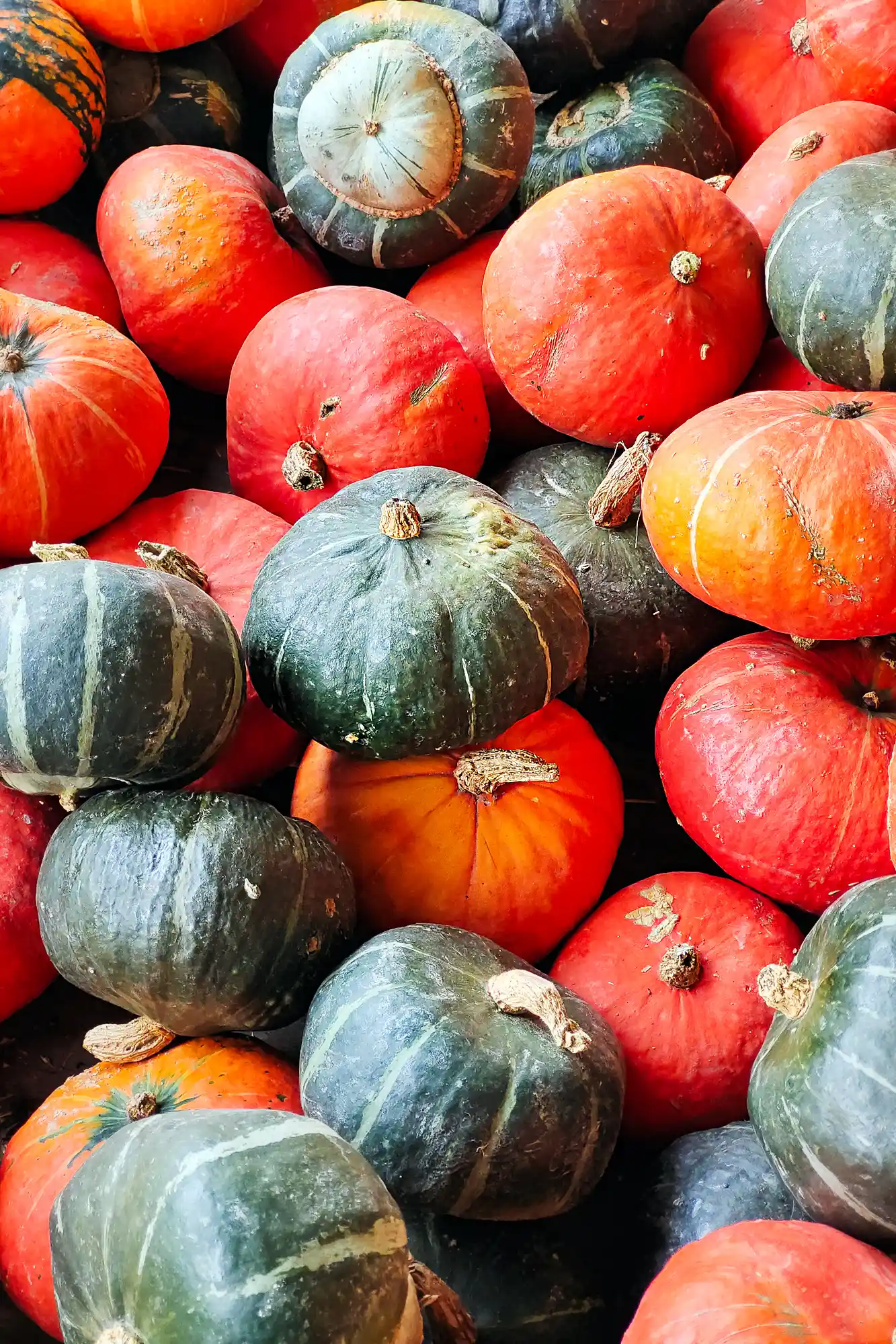 Glowing pumpkin colors