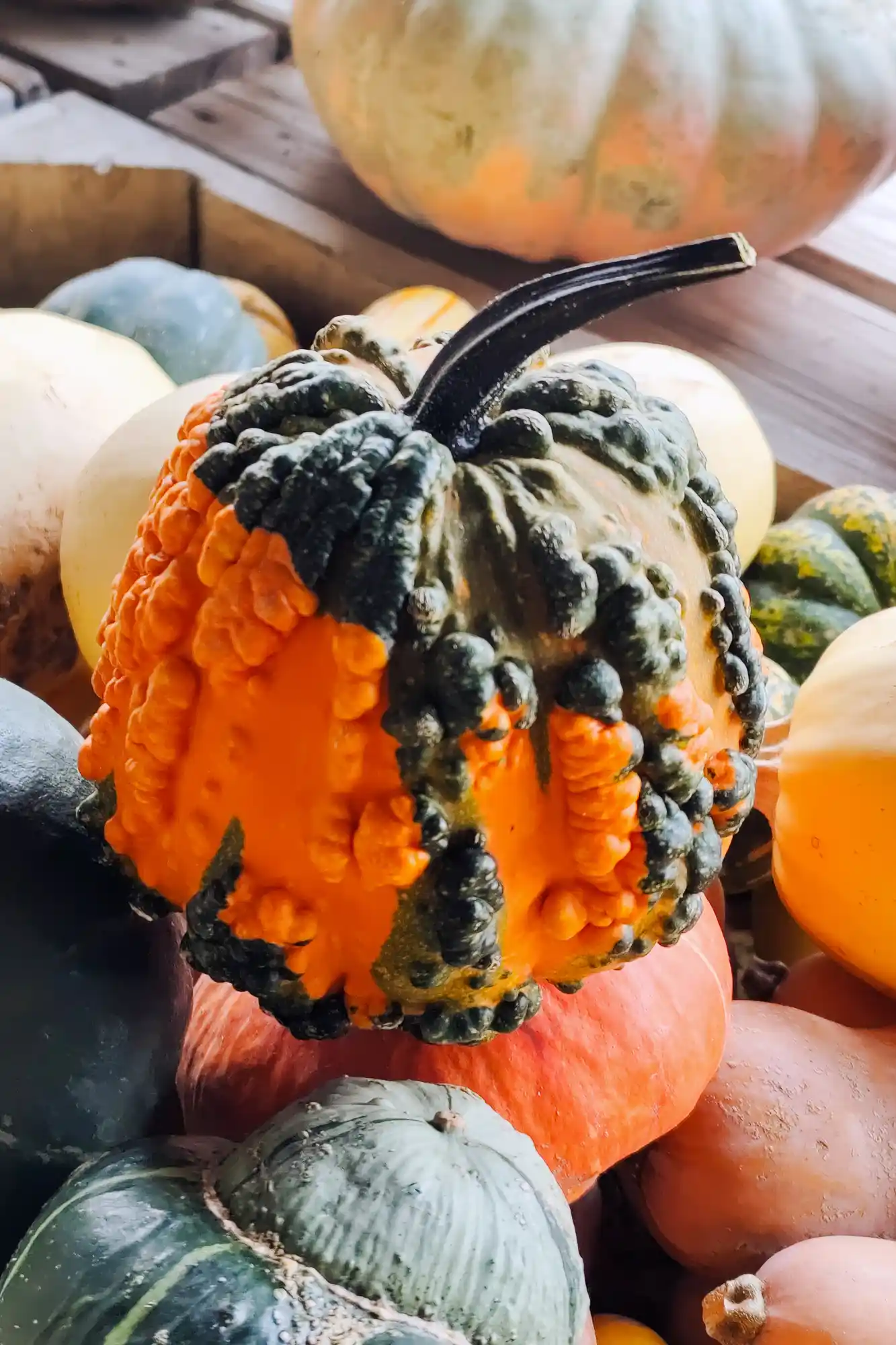 Ugly Pumpkins