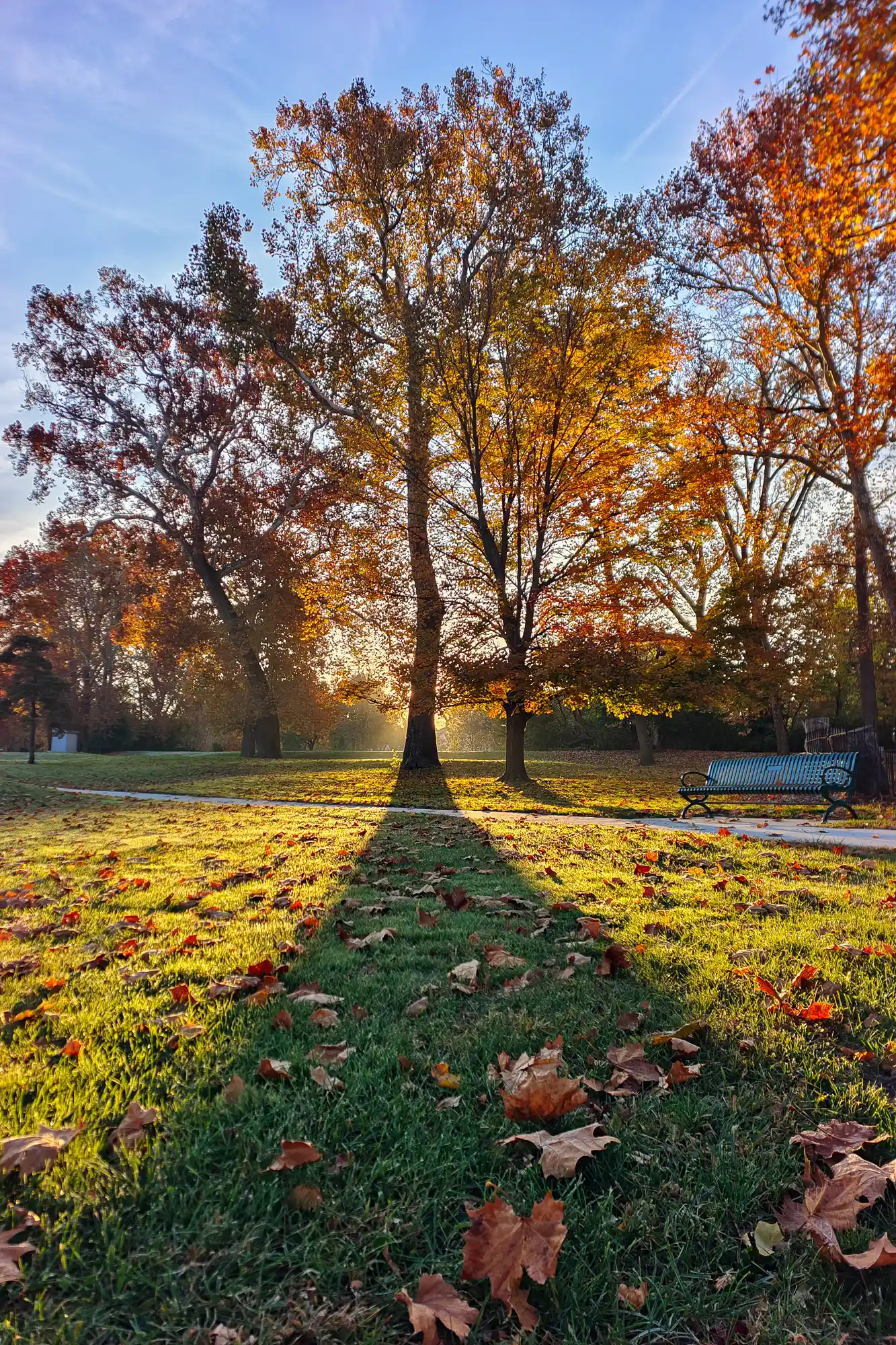 24-Springfield-Ohio-Fall-Stock-Photos-IMG 20241028 082505