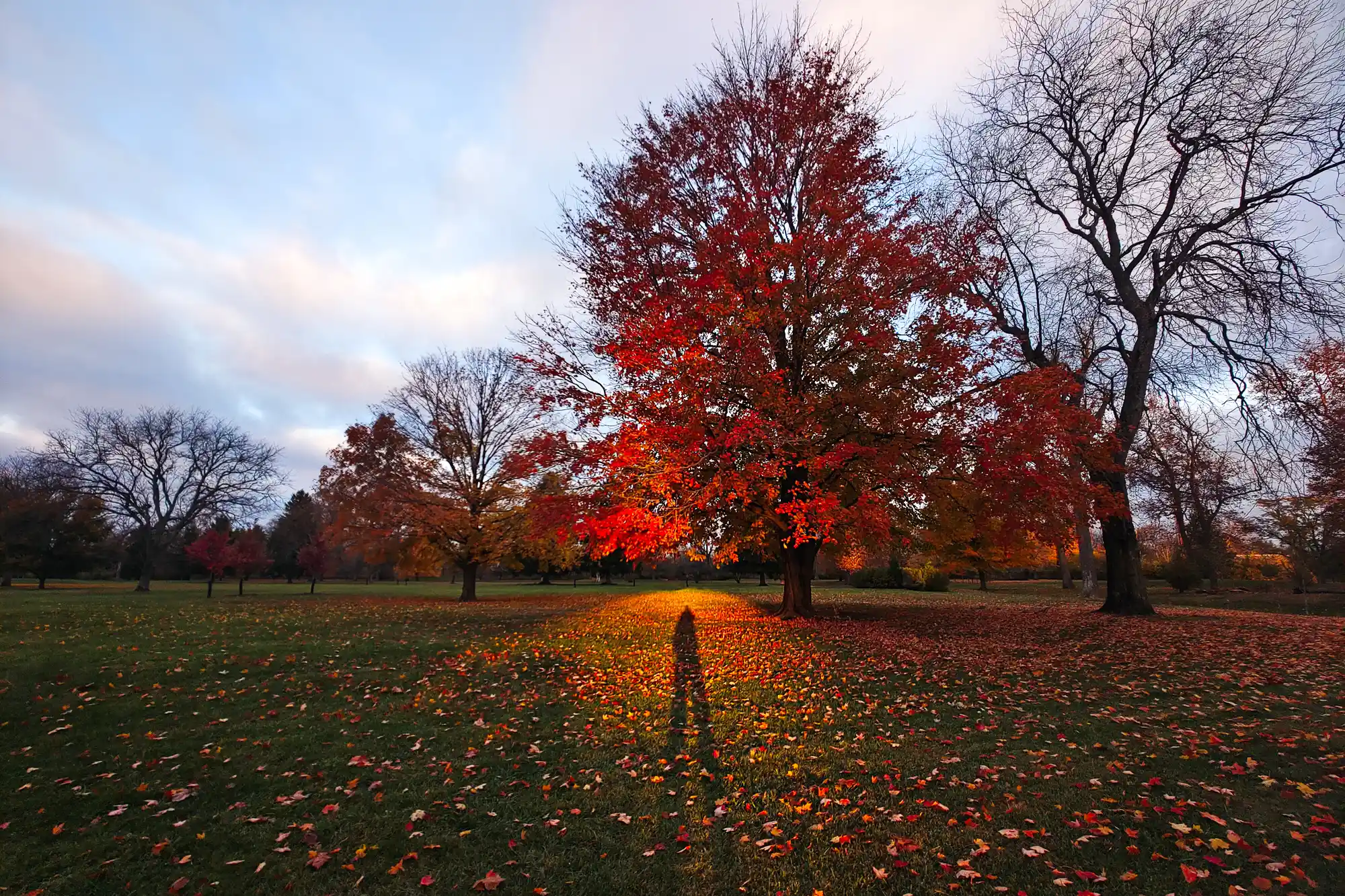25-Springfield-Ohio-Fall-Stock-Photos-IMG 20241101 082550
