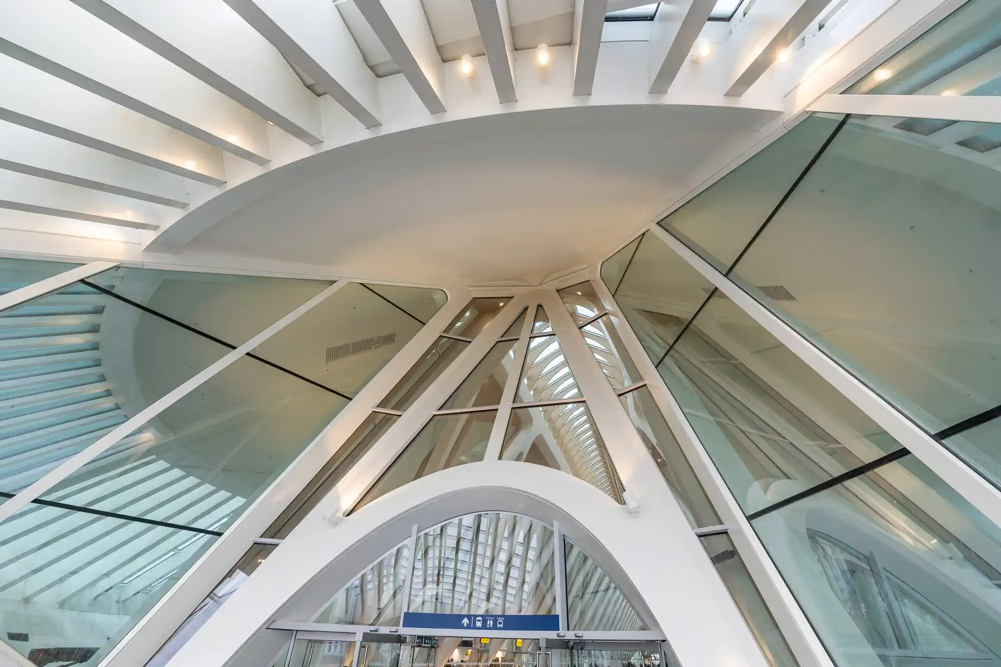 Fingerprint design of Calatrava