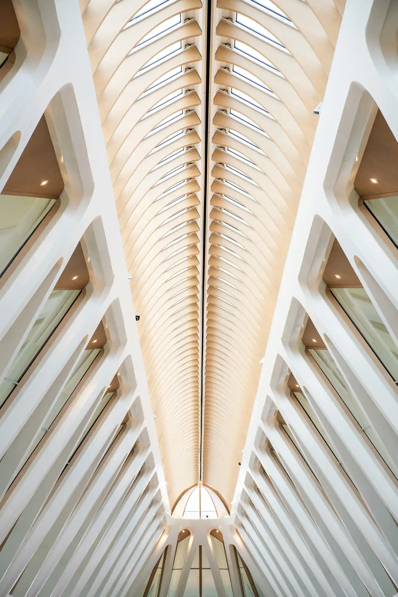 Calatrava roof spine