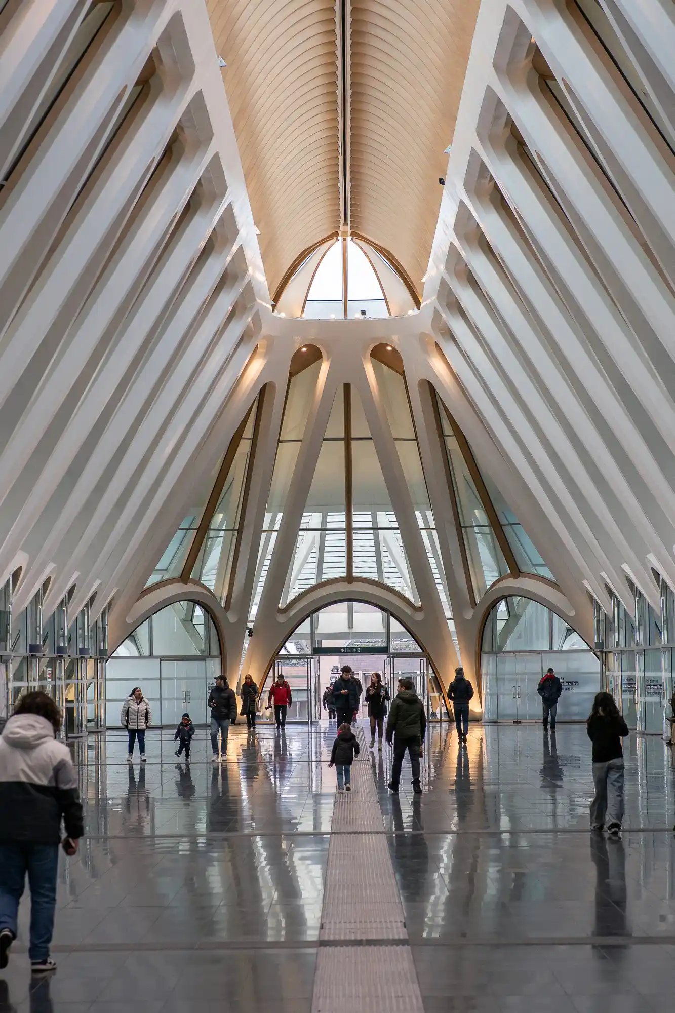 Designed by Calatrava - the train station in Mons