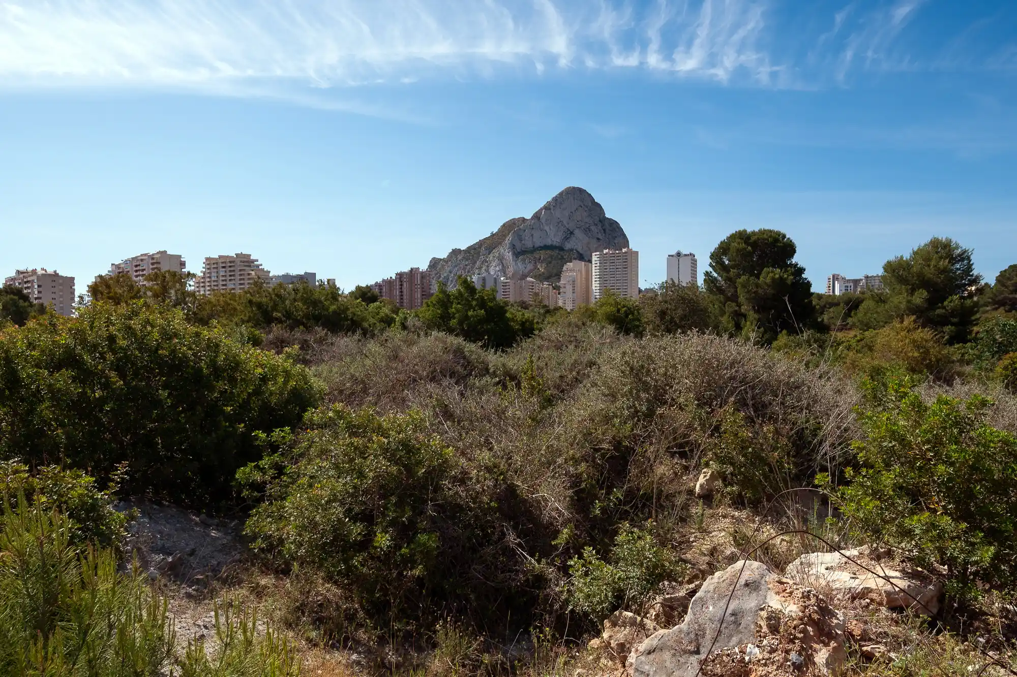 Calpe Scrubs
