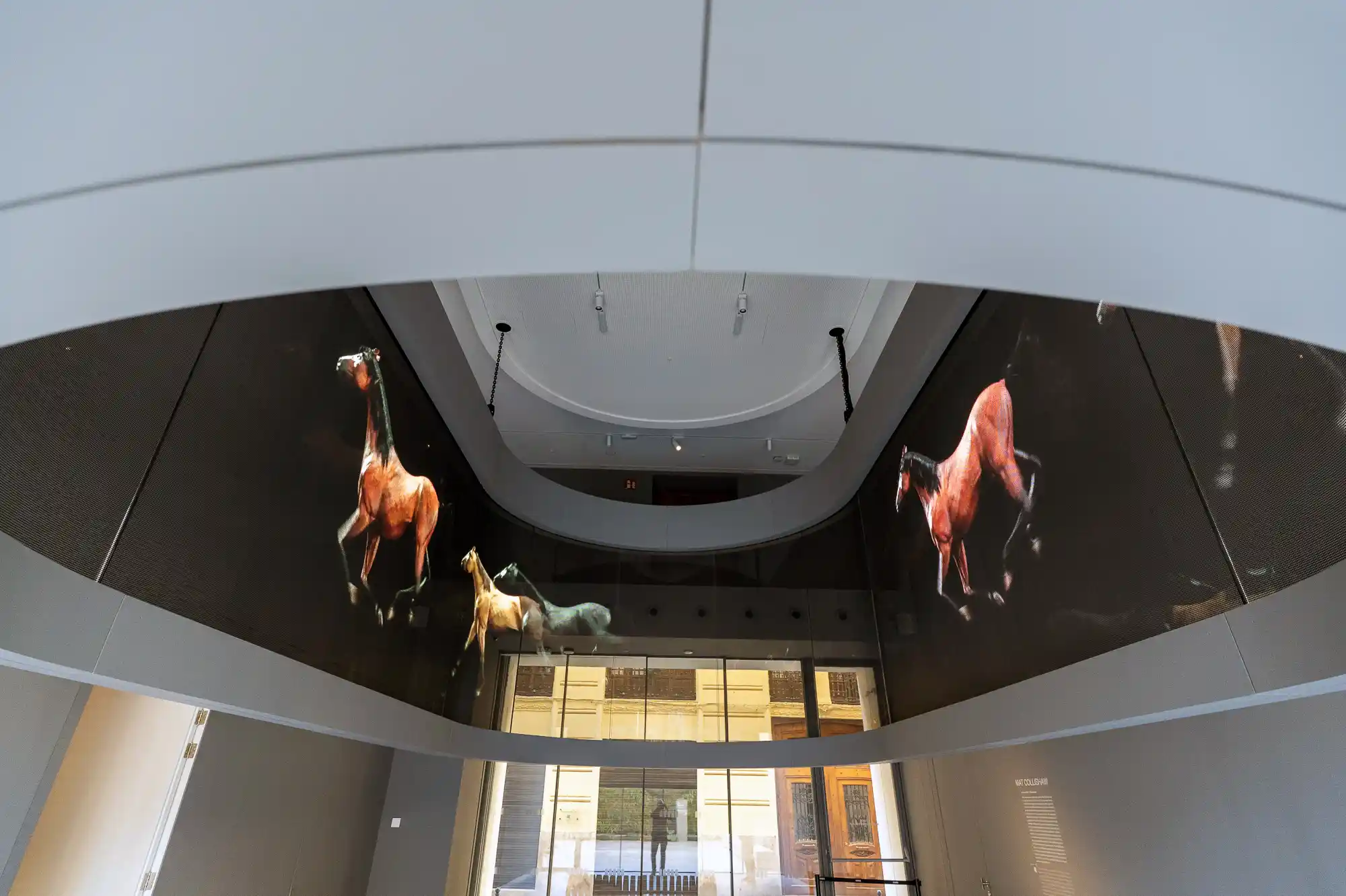 Horse Dome projection art