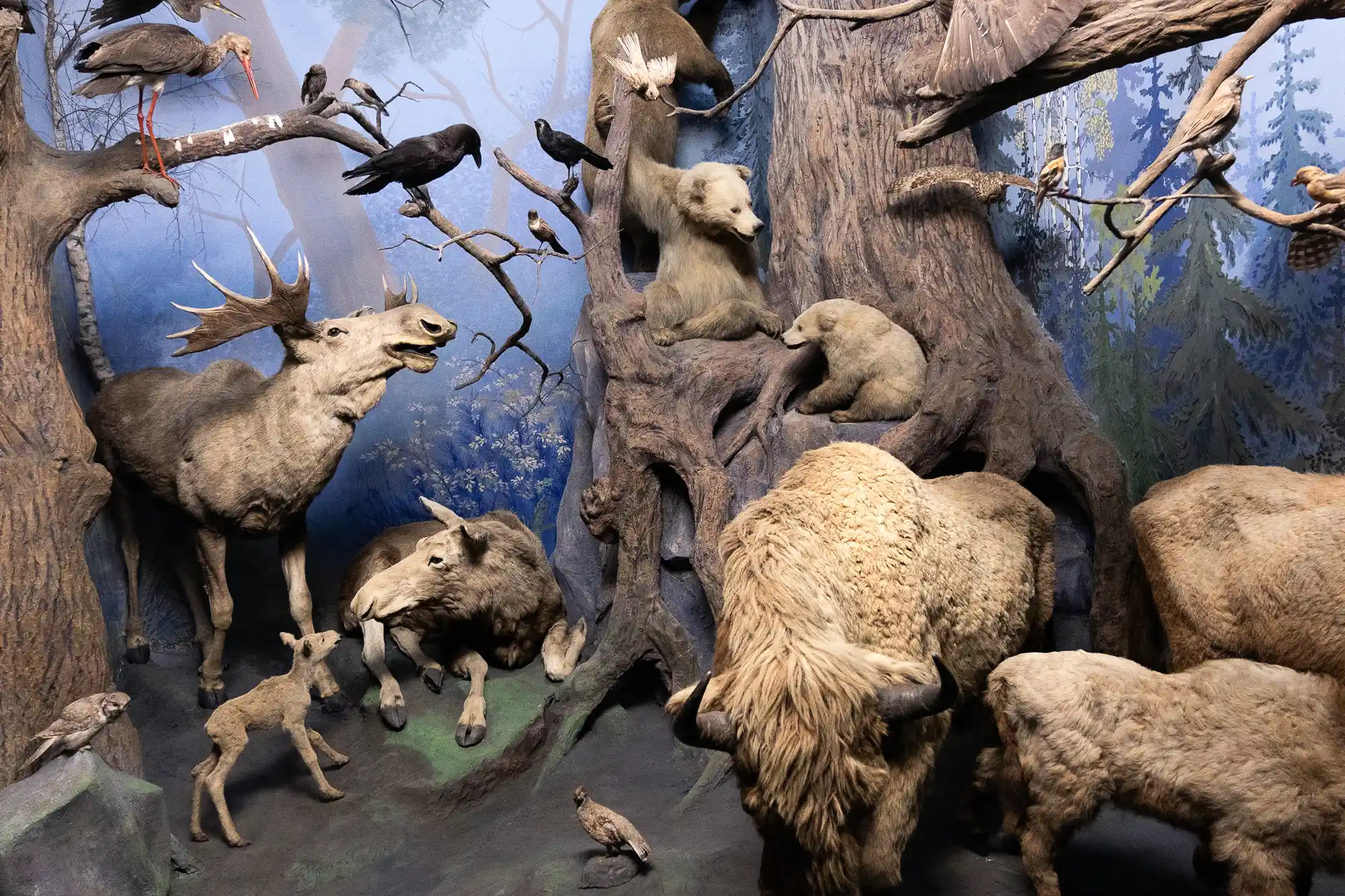 Ernst Beyrich Dioramas