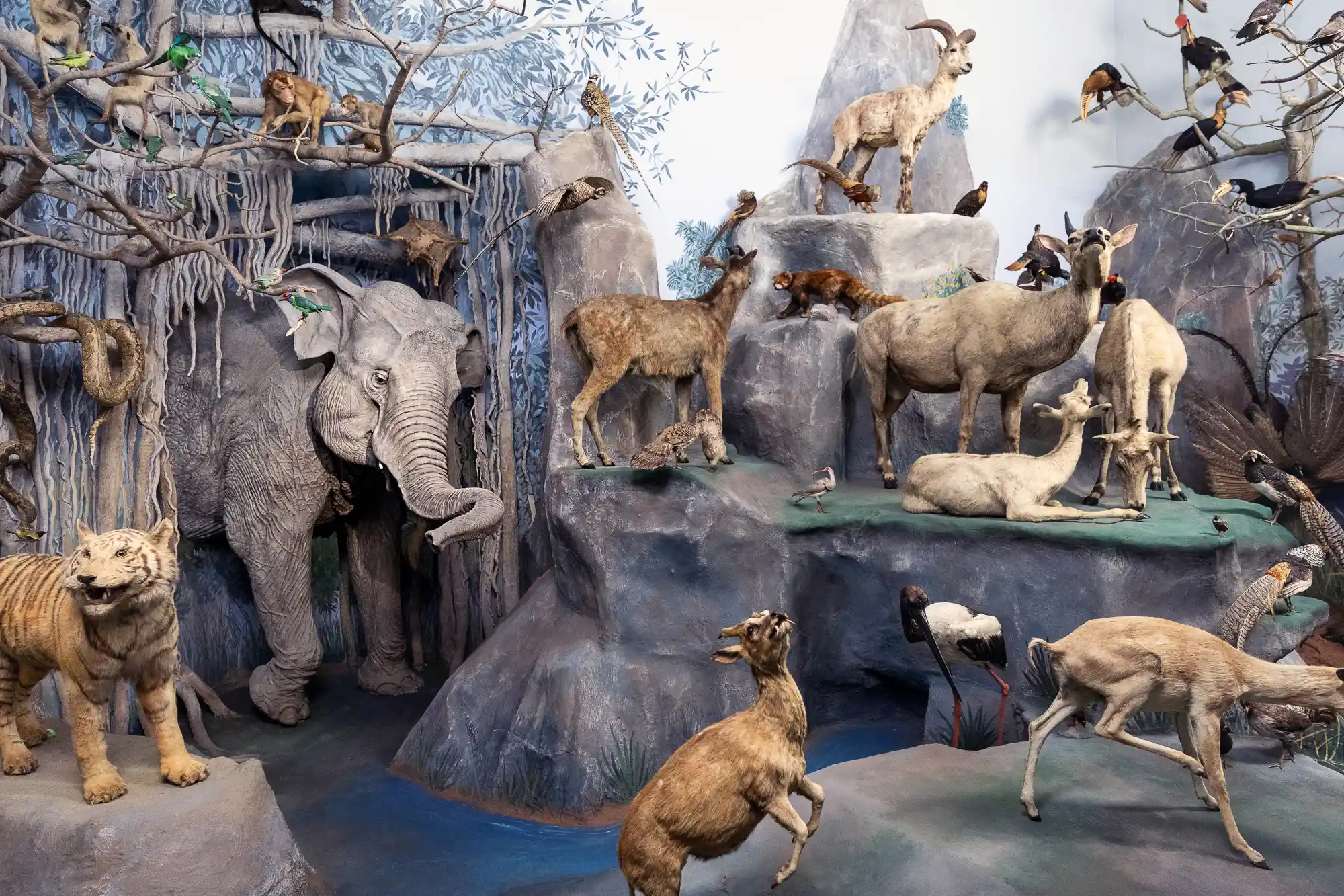 Animal Diorama in Darmstadt
