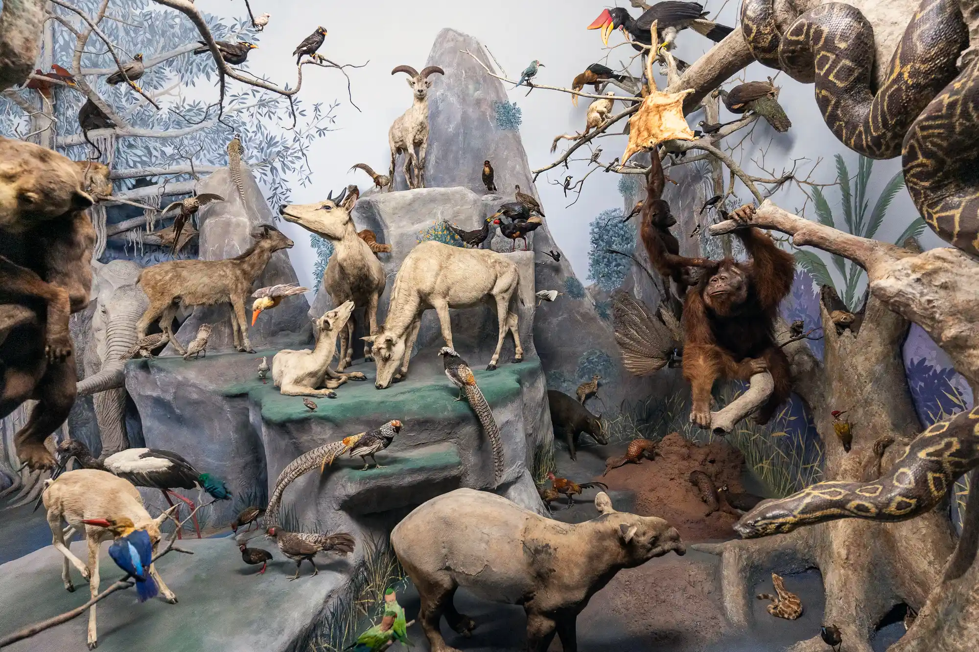 Museum Diorama