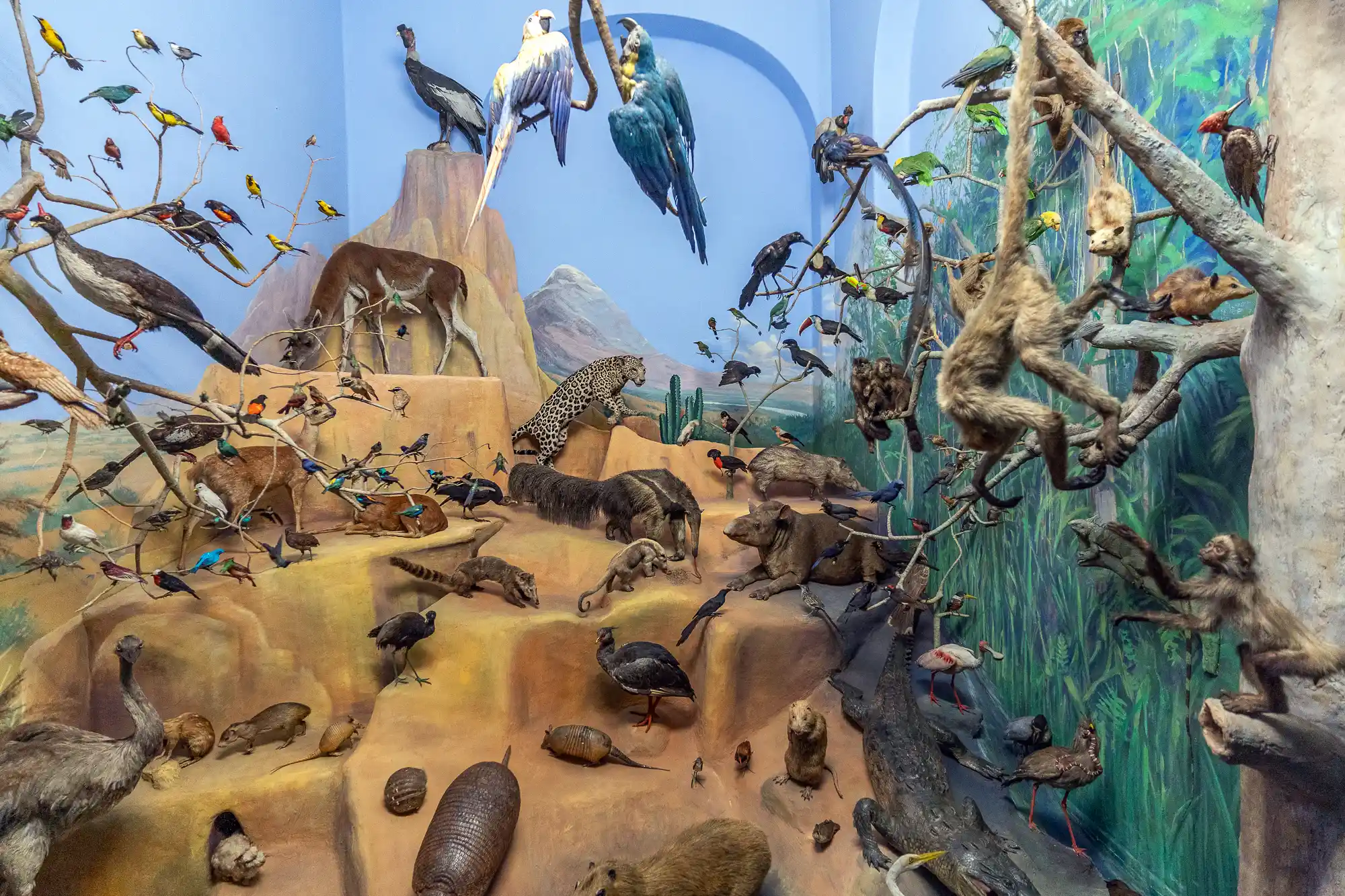 Bird World Diorama in Darmstadt