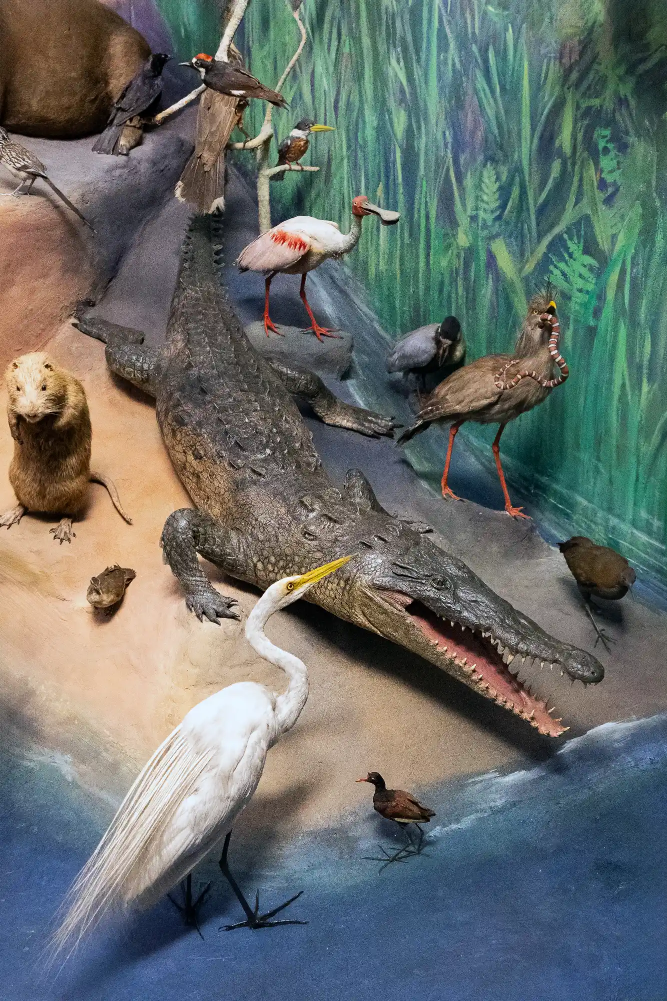 Crocodile Diorama