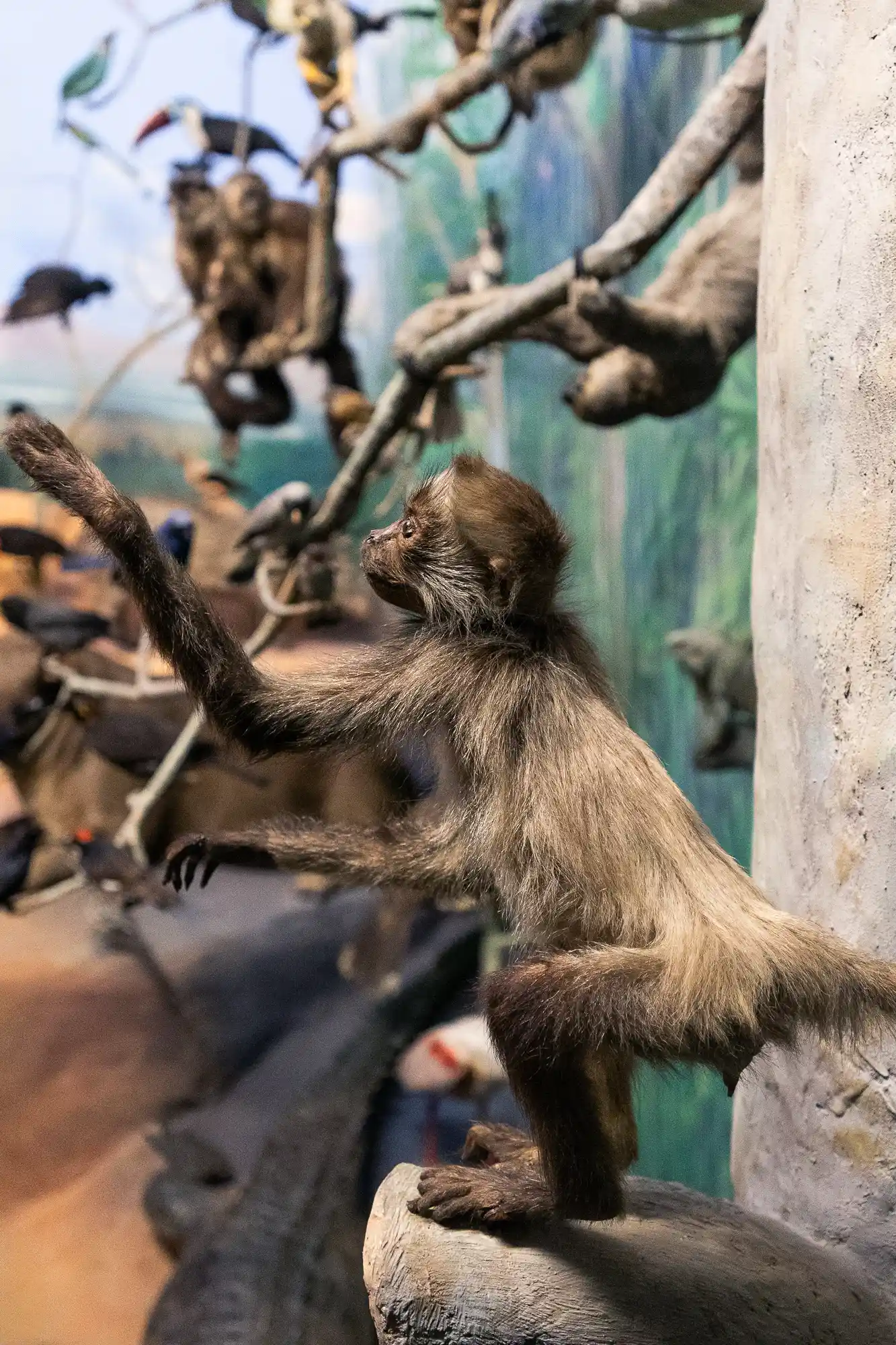 Landesmuseum Darmstadt Diorama